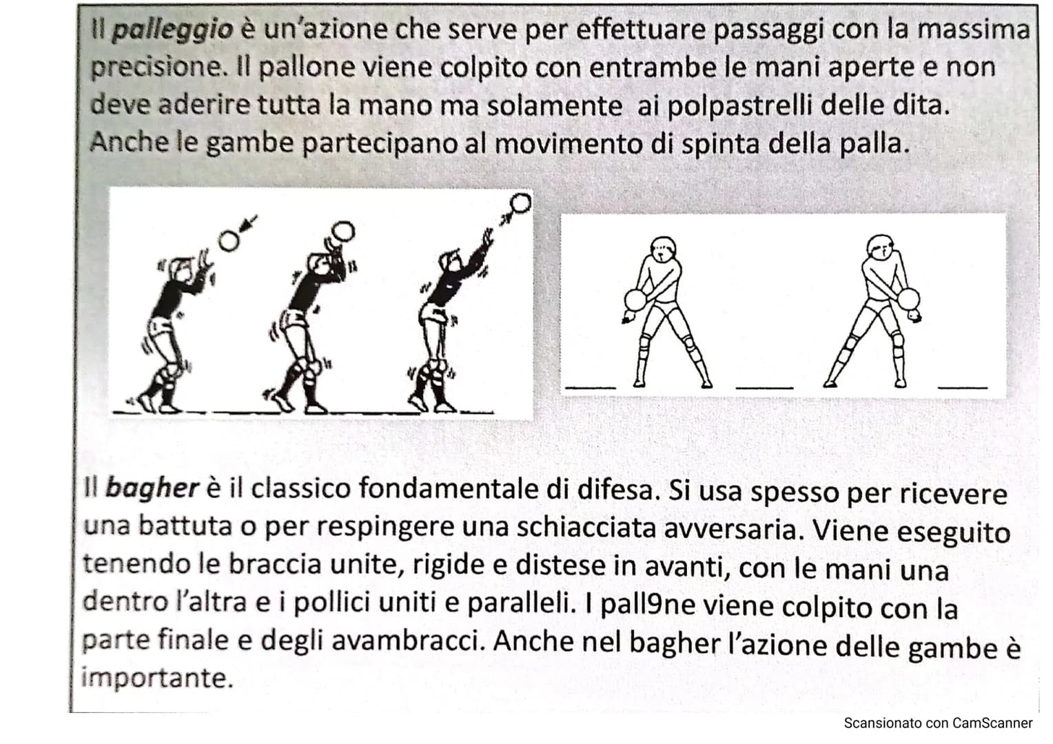 # LA PALLAVOLO
LARSON
10
13
Scansionato con CamScanner La pallavolo è uno sport nato negli Stati Uniti nel
1895, grazie a WILLIAM MORGAN,