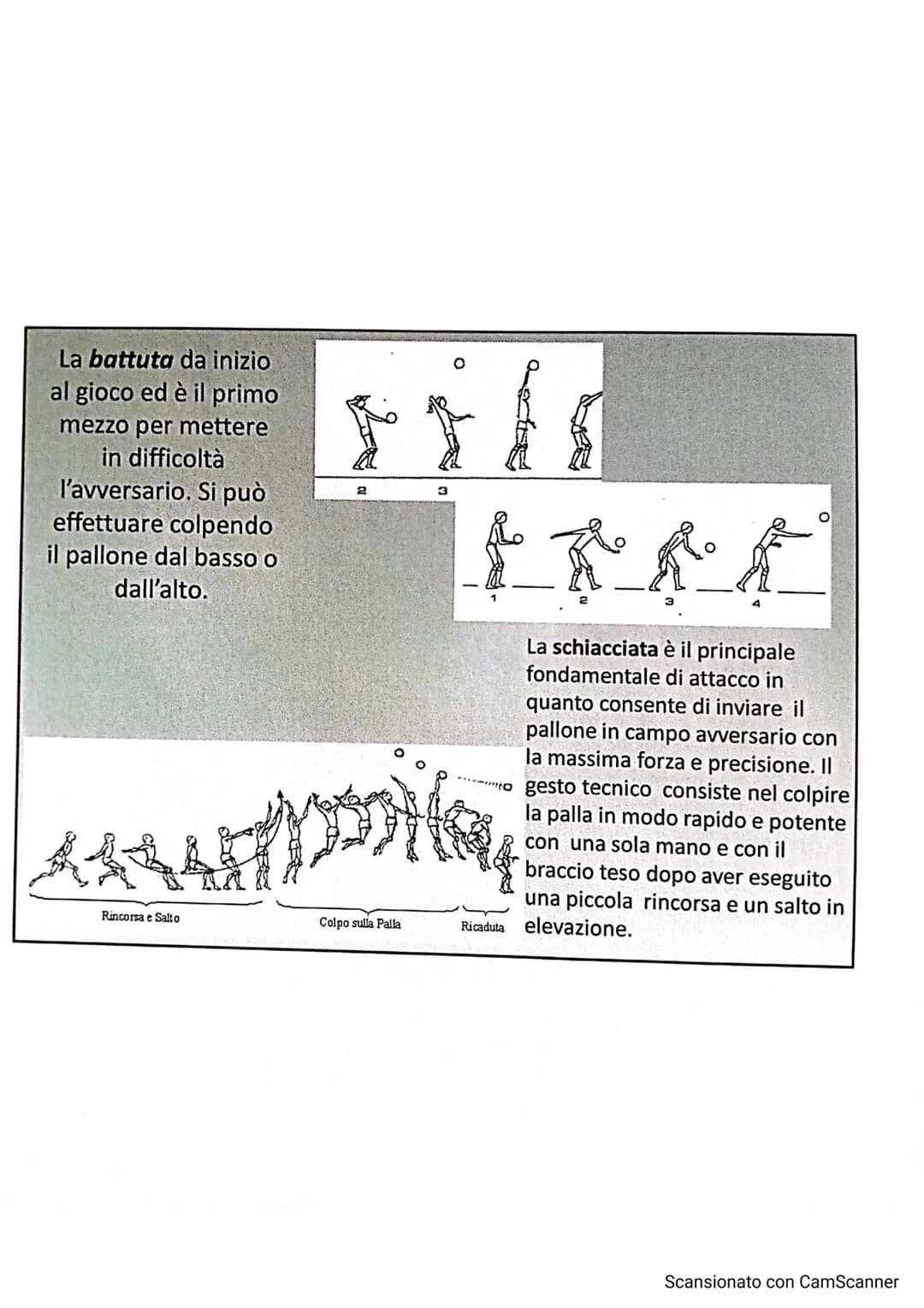 # LA PALLAVOLO
LARSON
10
13
Scansionato con CamScanner La pallavolo è uno sport nato negli Stati Uniti nel
1895, grazie a WILLIAM MORGAN,