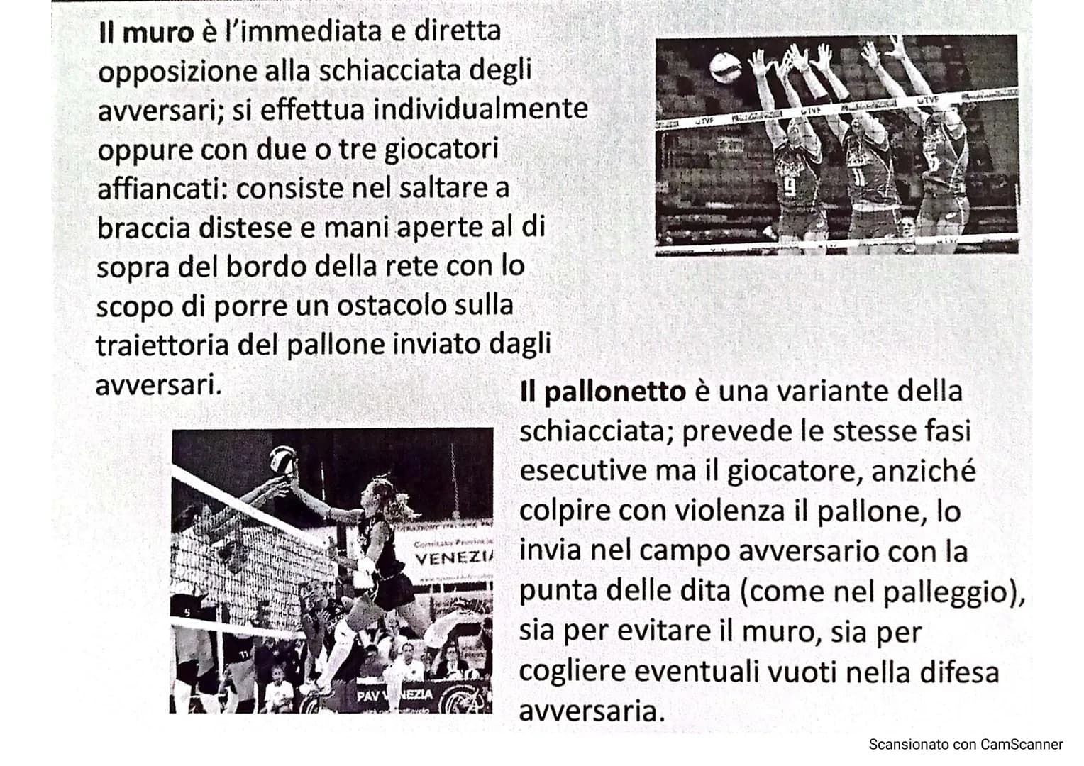 # LA PALLAVOLO
LARSON
10
13
Scansionato con CamScanner La pallavolo è uno sport nato negli Stati Uniti nel
1895, grazie a WILLIAM MORGAN,