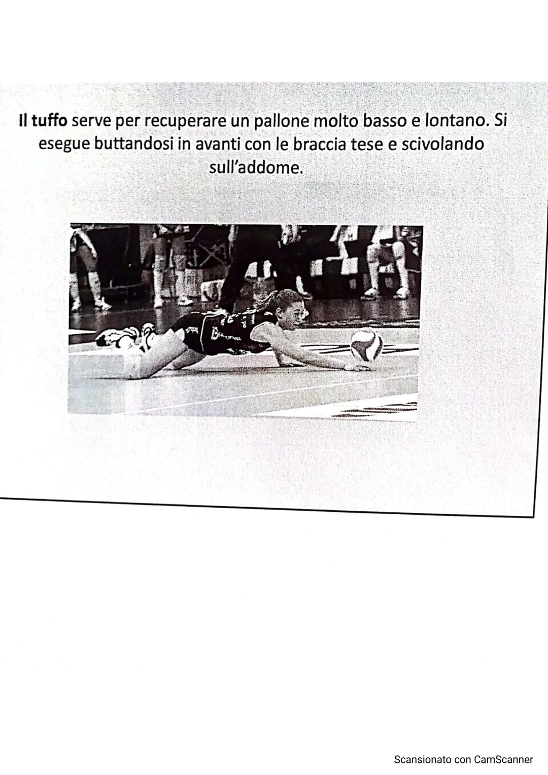 # LA PALLAVOLO
LARSON
10
13
Scansionato con CamScanner La pallavolo è uno sport nato negli Stati Uniti nel
1895, grazie a WILLIAM MORGAN,