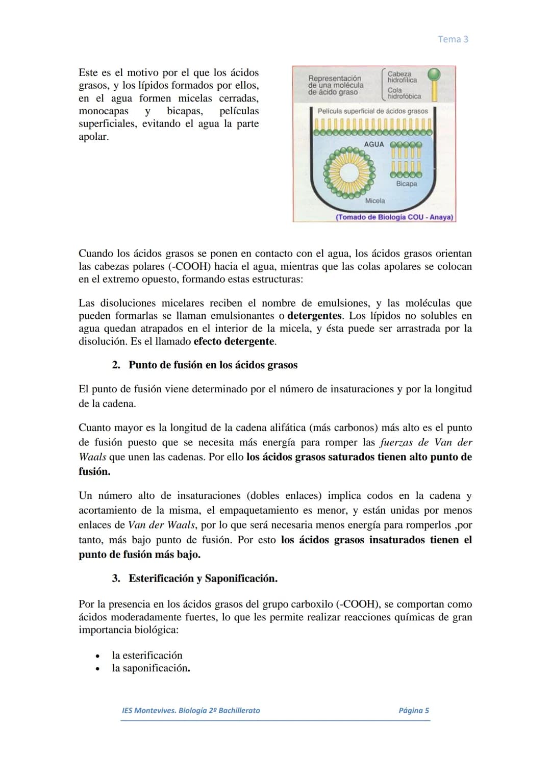 TEMA 3 LOS LÍPIDOS
I. Concepto y Características generales
II. Clasificación de los lípidos
III. Ácidos Grasos
IV. Lípidos saponificables
V