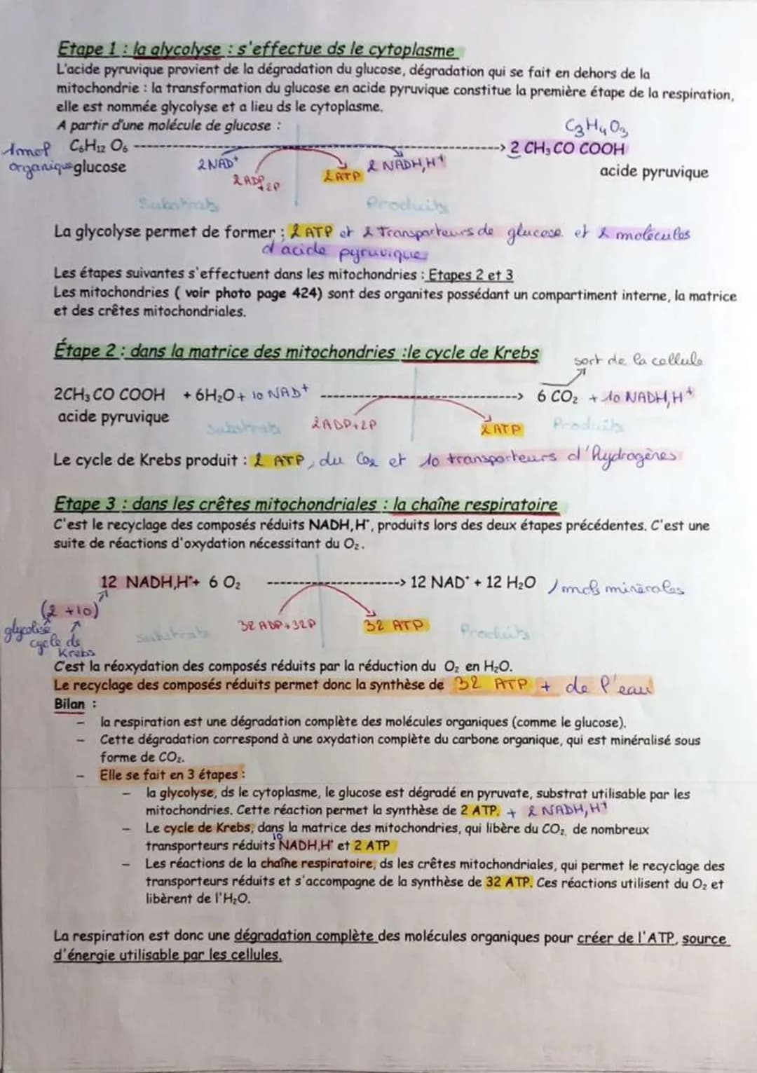 # L'origine
de P'ATP
ATP (adenosine triphosphate)
1> forme d'énergie utilisé par les collules
d'hydrolyse de P'ATP
ATP + H2O → ADP+P
libé