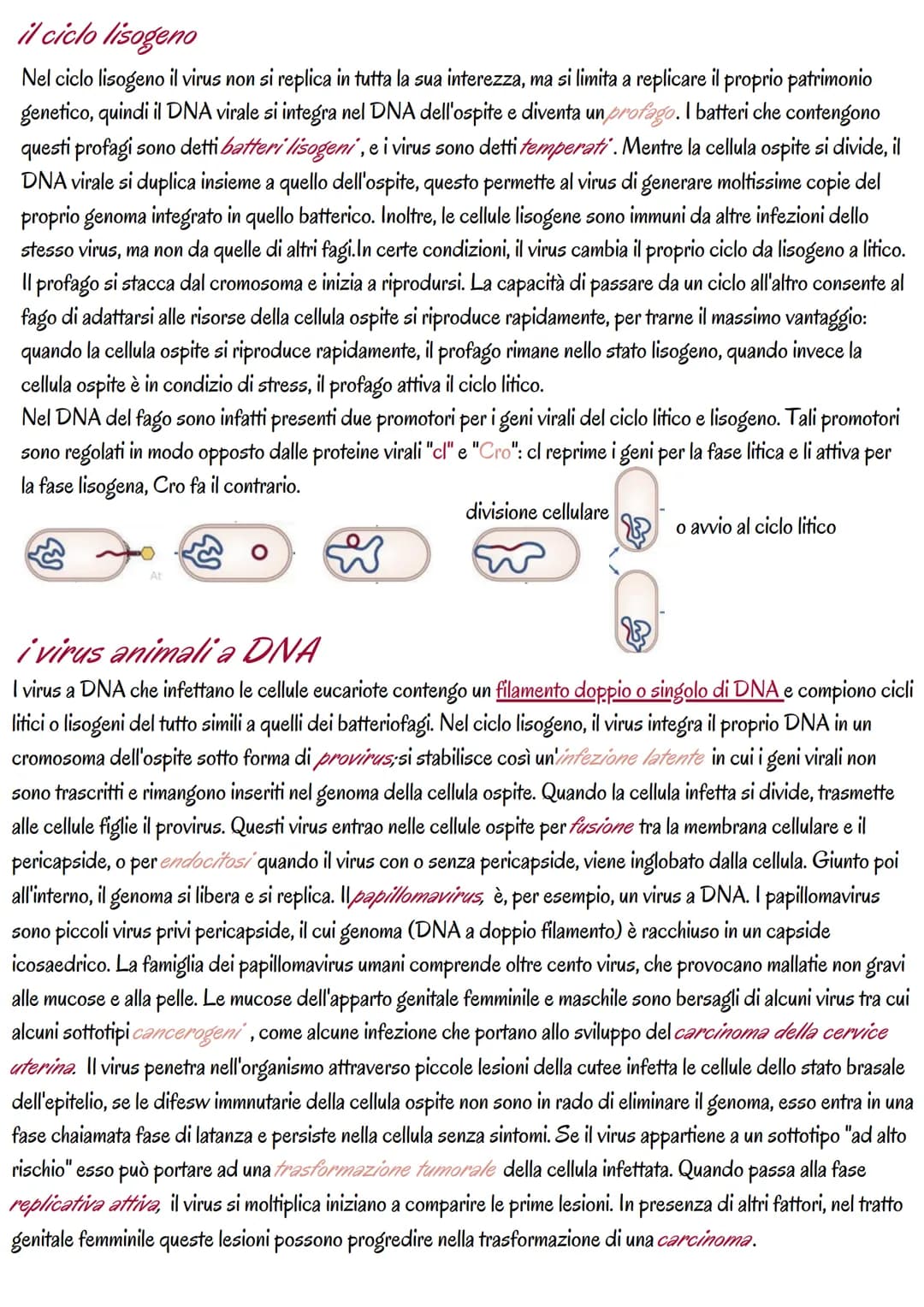 # la genetica dei virus
i virus sono piccoli agenti o microrganismi infettivi che invadono le cellule e le trasformano in fabbriche per
pro