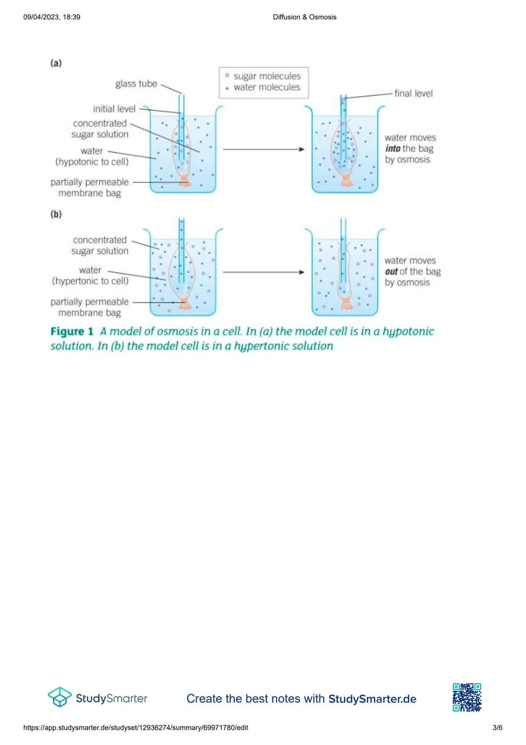 09/04/2023, 18:39
Diffusion & Osmosis
Diffusion & Osmosis
Diffusion:
Definition
Diffusion - The movement of particles form an area of hi
