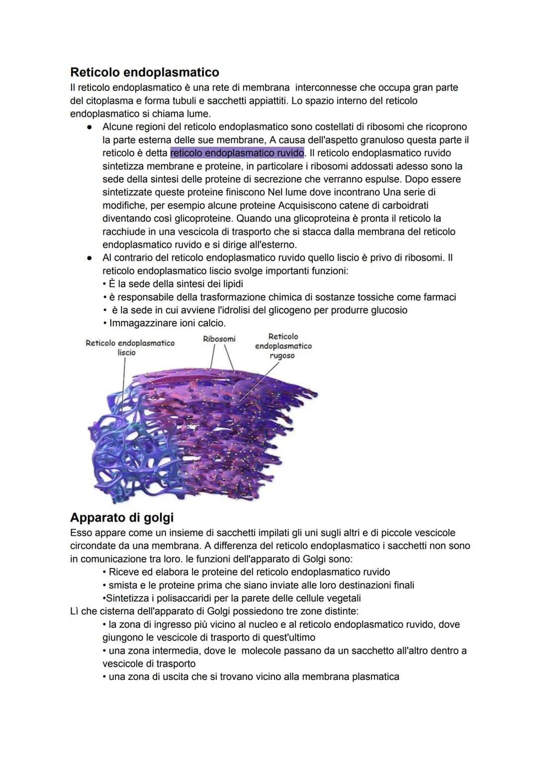 # Membrana
Le cellule sono delimitate da membrane, dallo spessore di 5/8 nanometri. La struttura di
base delle membrane cellulari è detta m
