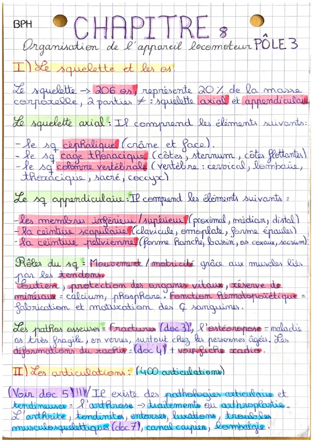 BPH
# CHAPITRE 8
Organisation de l'appareil locomoteur PÔLE 3
I) Le squelette et les os
Le squelette 206 os, représente 20% de la masse
cor