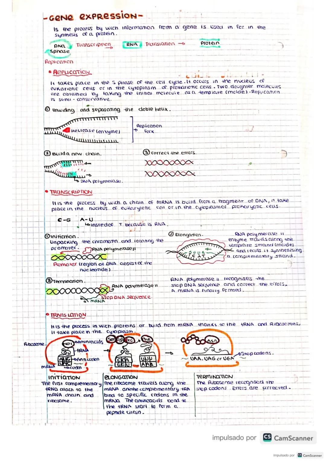# UNIT 3
GENETIC INFORMATION AND NUCLEIC ACIDS
Molecular BIOLOGY
Is the science that studies the structure, functions and another aspects