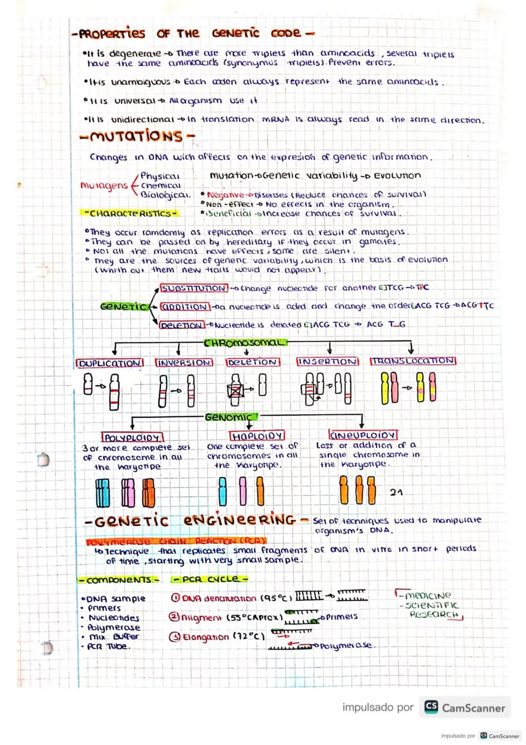 # UNIT 3
GENETIC INFORMATION AND NUCLEIC ACIDS
Molecular BIOLOGY
Is the science that studies the structure, functions and another aspects