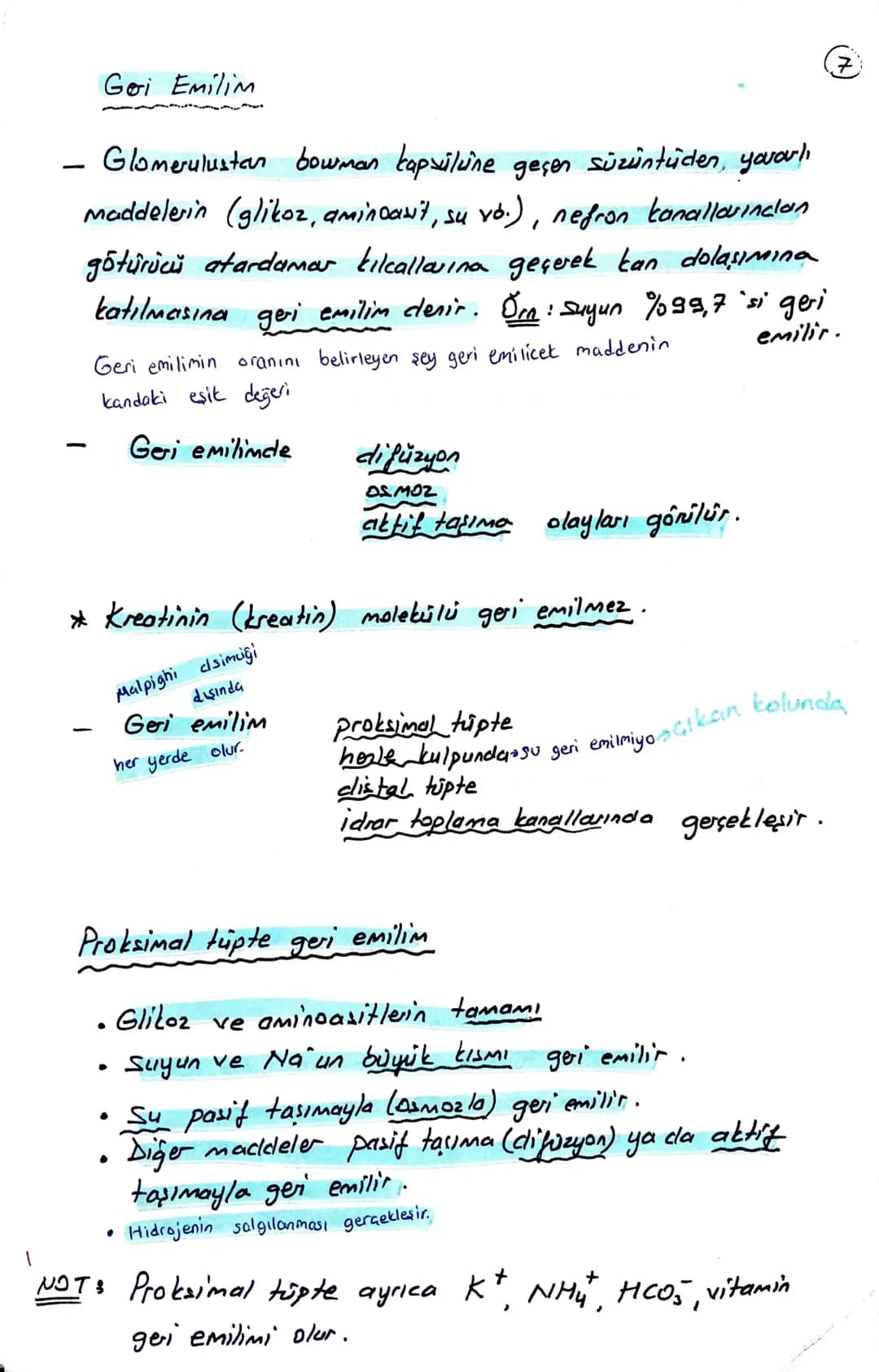 блемі
BOŞALTIM SİSTEMİ
Homeostasının (kararlı iç dengesin) korunmasını sağlar.
Boşaltım sistemi Organları
① Böbrekler (2 tane)
Üreter (