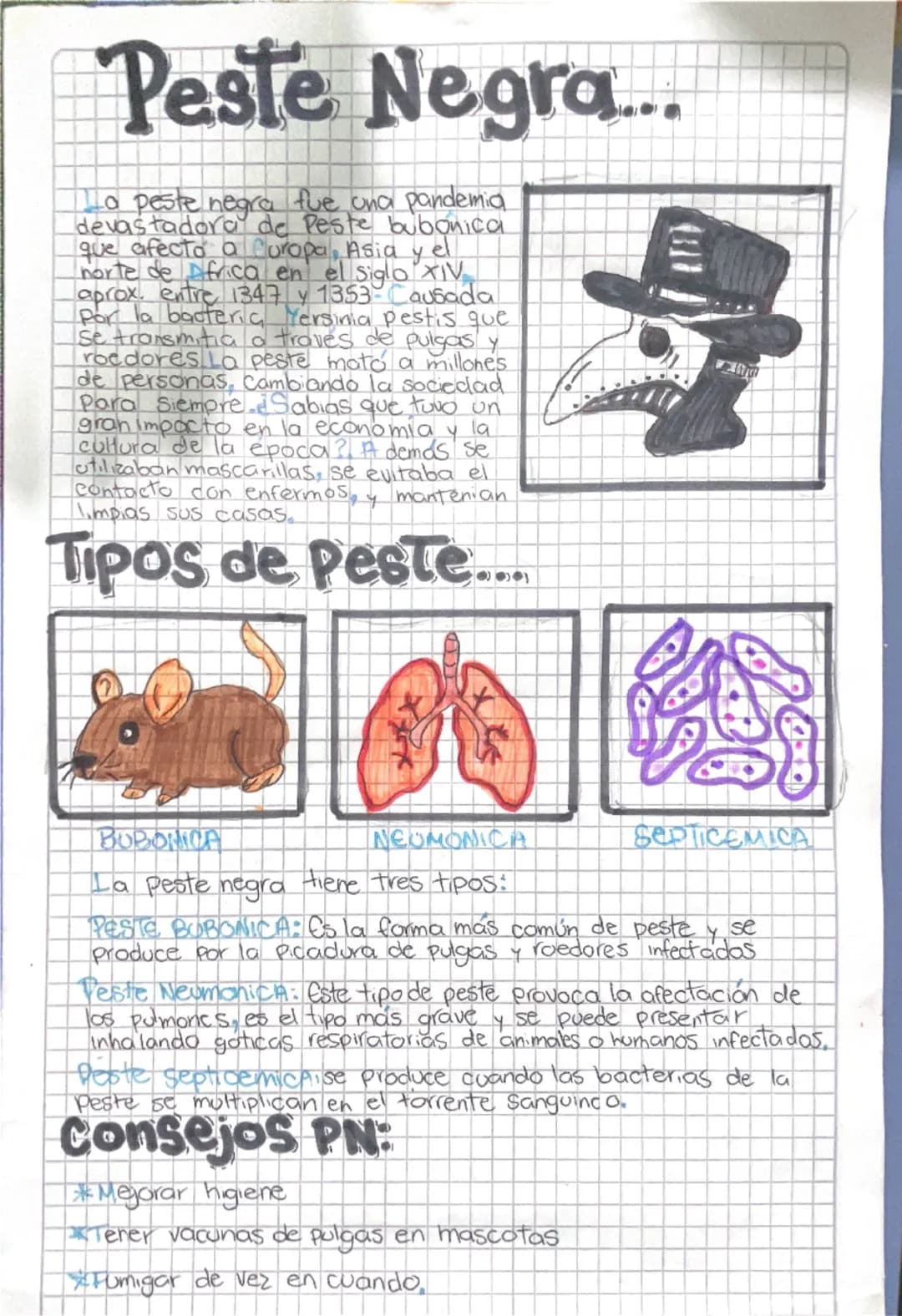 # Peste Negra...
La peste negra fue una pandemia
devastadora de peste bubonica
que afecto a Curopa, Asia y el
norte de Africa en el siglo X