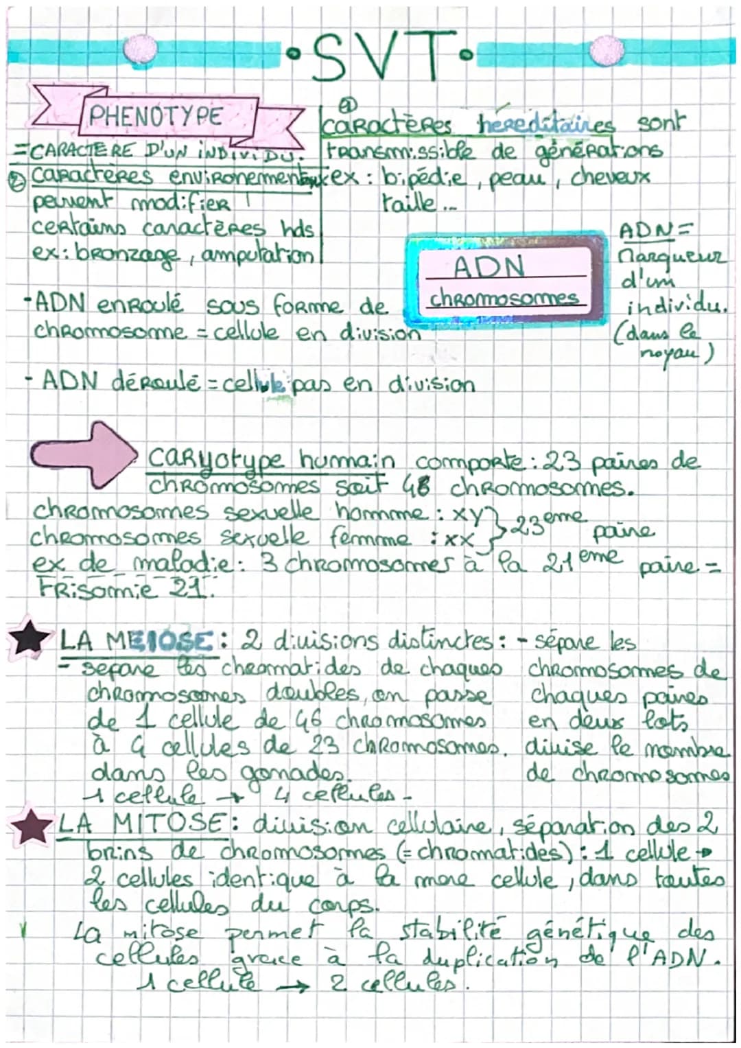 - •SVT•
> PHENOTYPE
Caractères hereditaires sont
=CARACTERE D'UN INDIVIDU. transmissible de générations
Caracteres environementauxex: bip