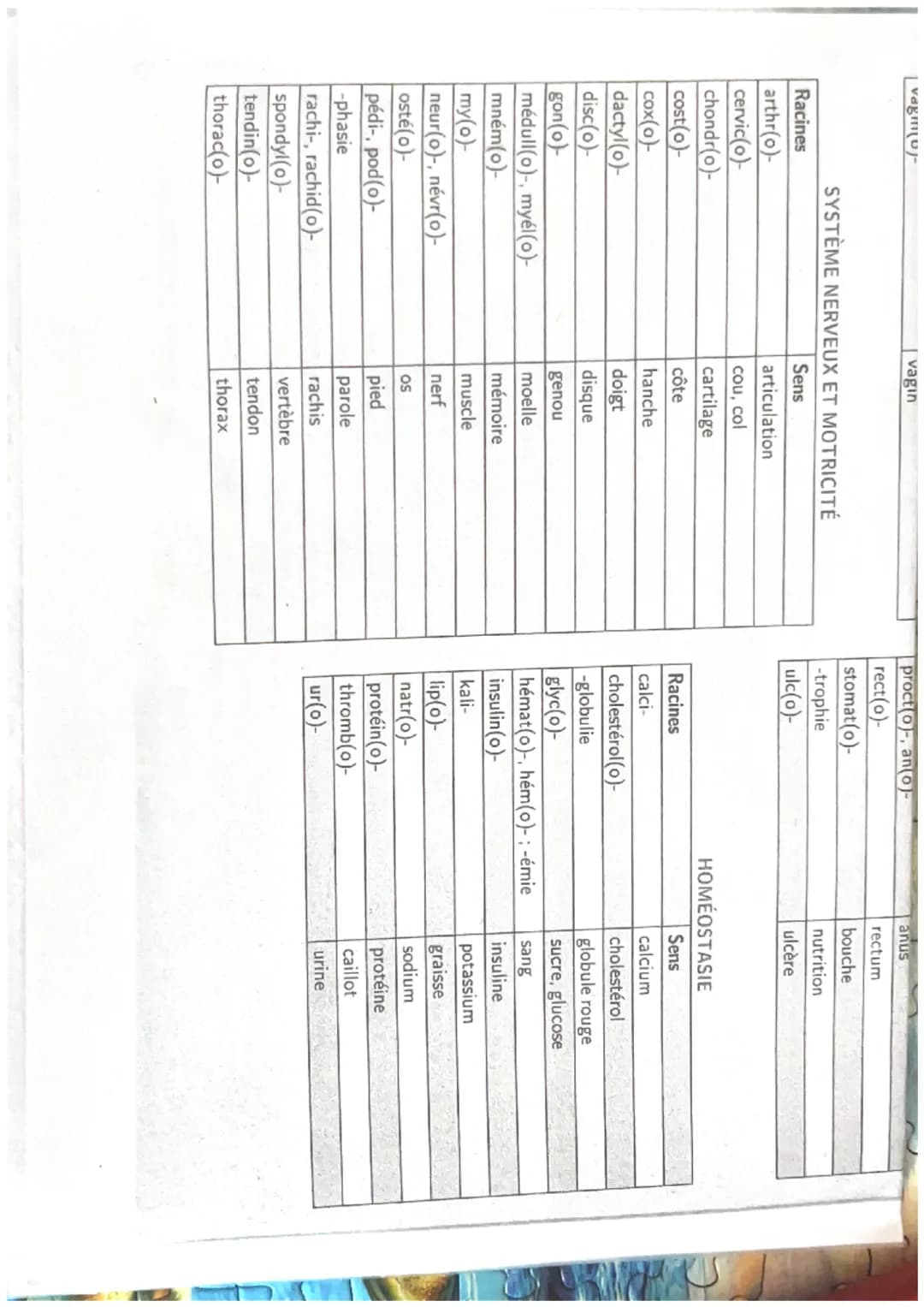 TERMINOLOGIE
Radicaux, préfixes et suffixes
ORGANISATION ET FONCTIONNEMENT INTÉGRÉ
Racines
Sens
cardi(o)-
cœur
cary(o)-, nuclé(o)-
noyau
cé