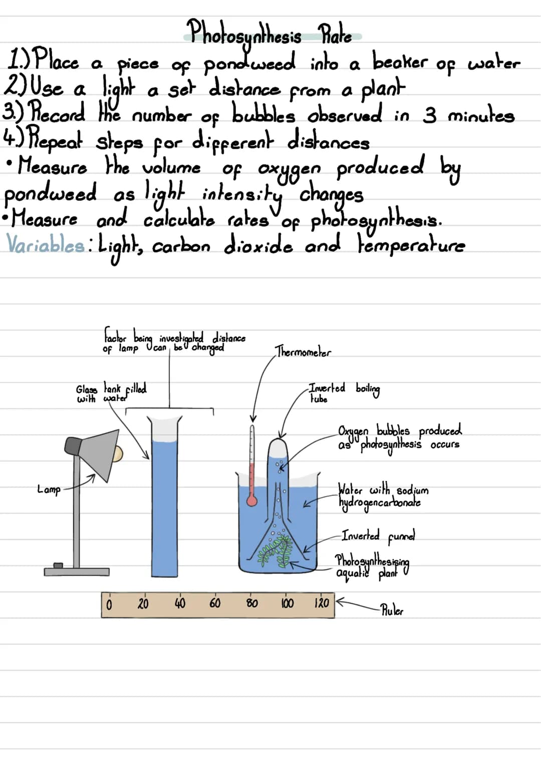 <h2>Microscopy</h2>
<h3>Types of Microscopy</h3>
<p>Microscopy is the study of small objects using a microscope. There are different types