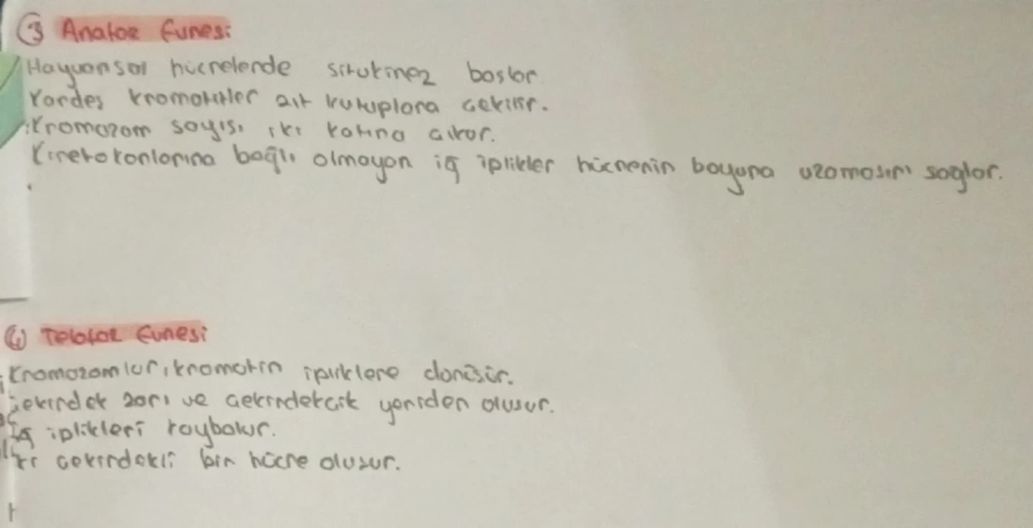 # HÜCRE BOLÜNMESİ
Sinin hocresi
Giagdi bas hücresi
Alyavarlar
Yumurta hücres
Sperm hucrest
Retina
}
haploitin
diptors 2n
BOLONNEZ
# Hocreni