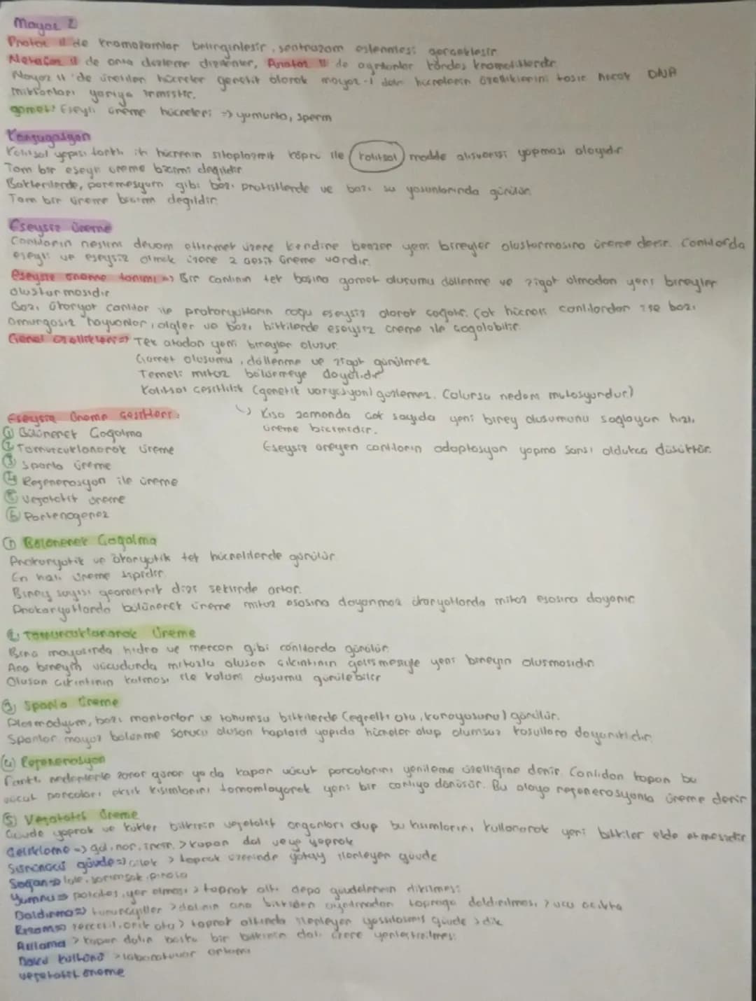 # HÜCRE BOLÜNMESİ
Sinin hocresi
Giagdi bas hücresi
Alyavarlar
Yumurta hücres
Sperm hucrest
Retina
}
haploitin
diptors 2n
BOLONNEZ
# Hocreni
