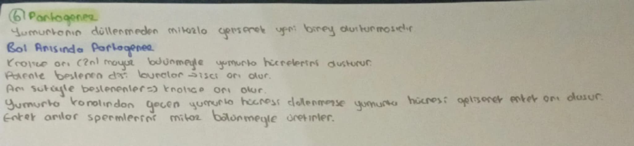 # HÜCRE BOLÜNMESİ
Sinin hocresi
Giagdi bas hücresi
Alyavarlar
Yumurta hücres
Sperm hucrest
Retina
}
haploitin
diptors 2n
BOLONNEZ
# Hocreni