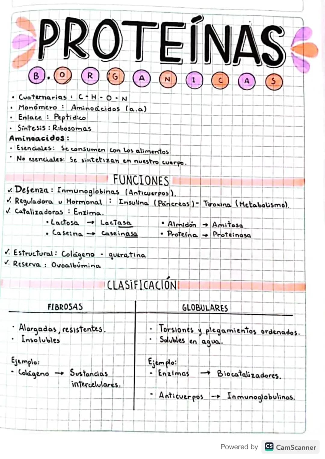 # PROTEÍNAS
B | 0 | R | G | A | N | 1 | C | A | S
- Cuaternarias : C-H-O-N
- Monómero: Aminoácidos (a.a)
- Enlace : Peptidico
- Sintesis: R