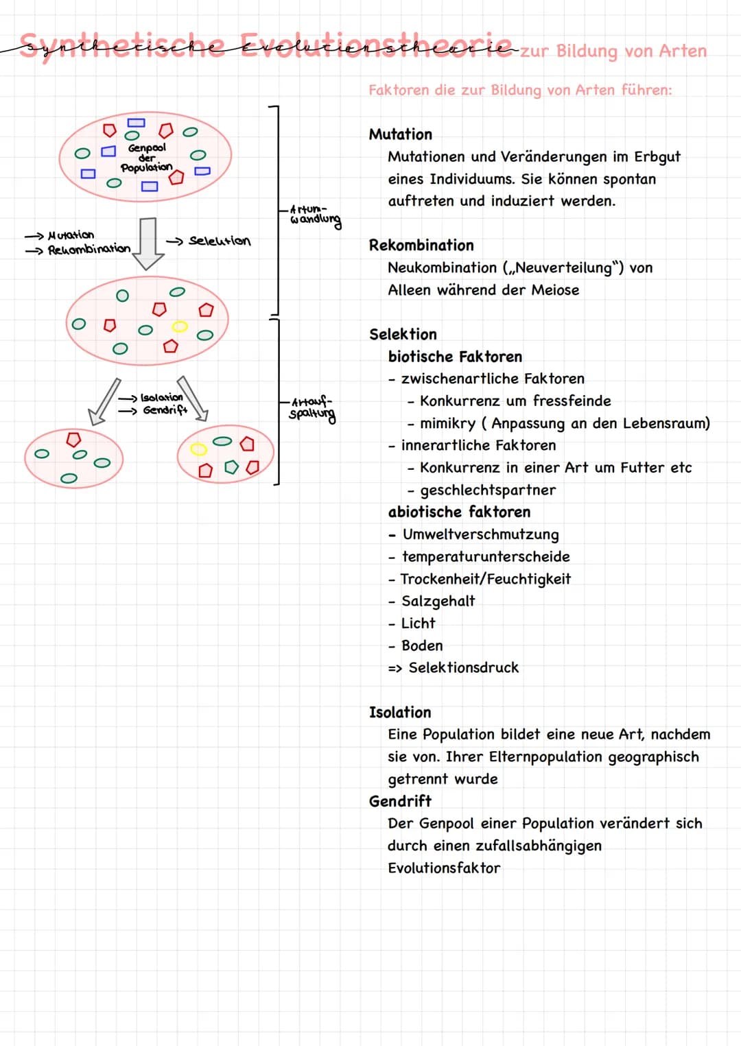 Evolution # Definition EVOLUTION-
Definition:
Mechanismen, Prozesse und historische Abläufe (Veränderungen), die zur
Entstehung des Lebens