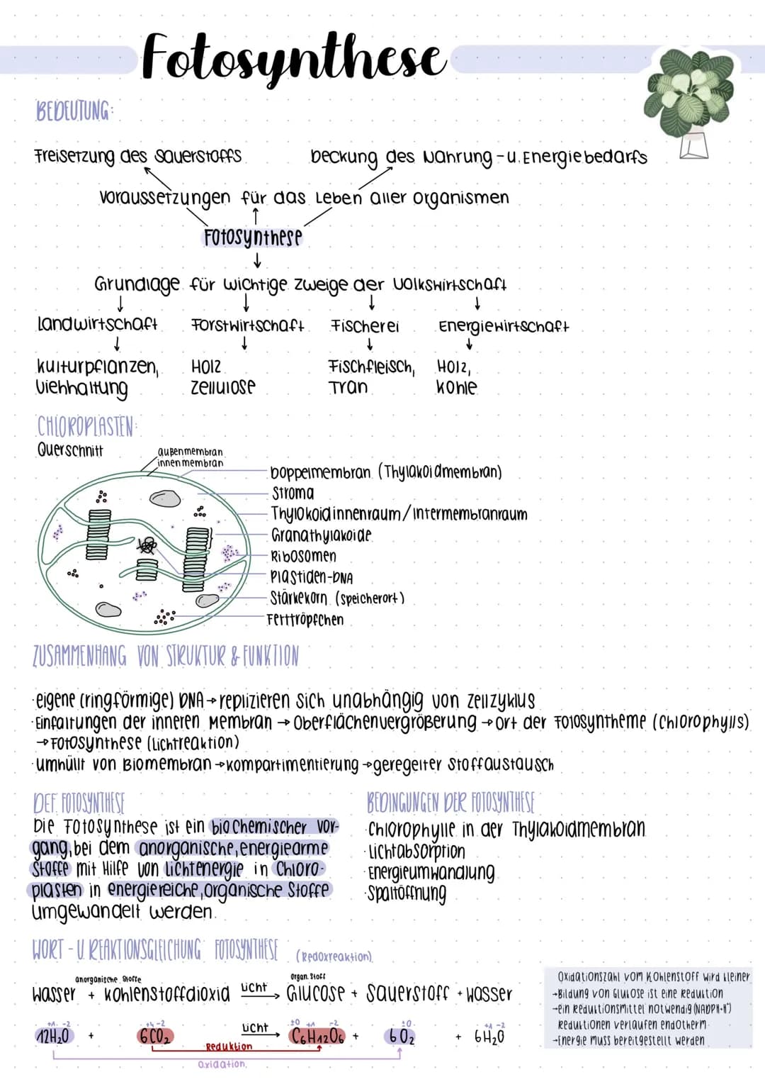# Stoff und-
Energiewechsel # Stoff- und Energiewechsel
Assimilation
Ausbau körpereigener.
energiereicher organischer
Stoffe
Dissimilation