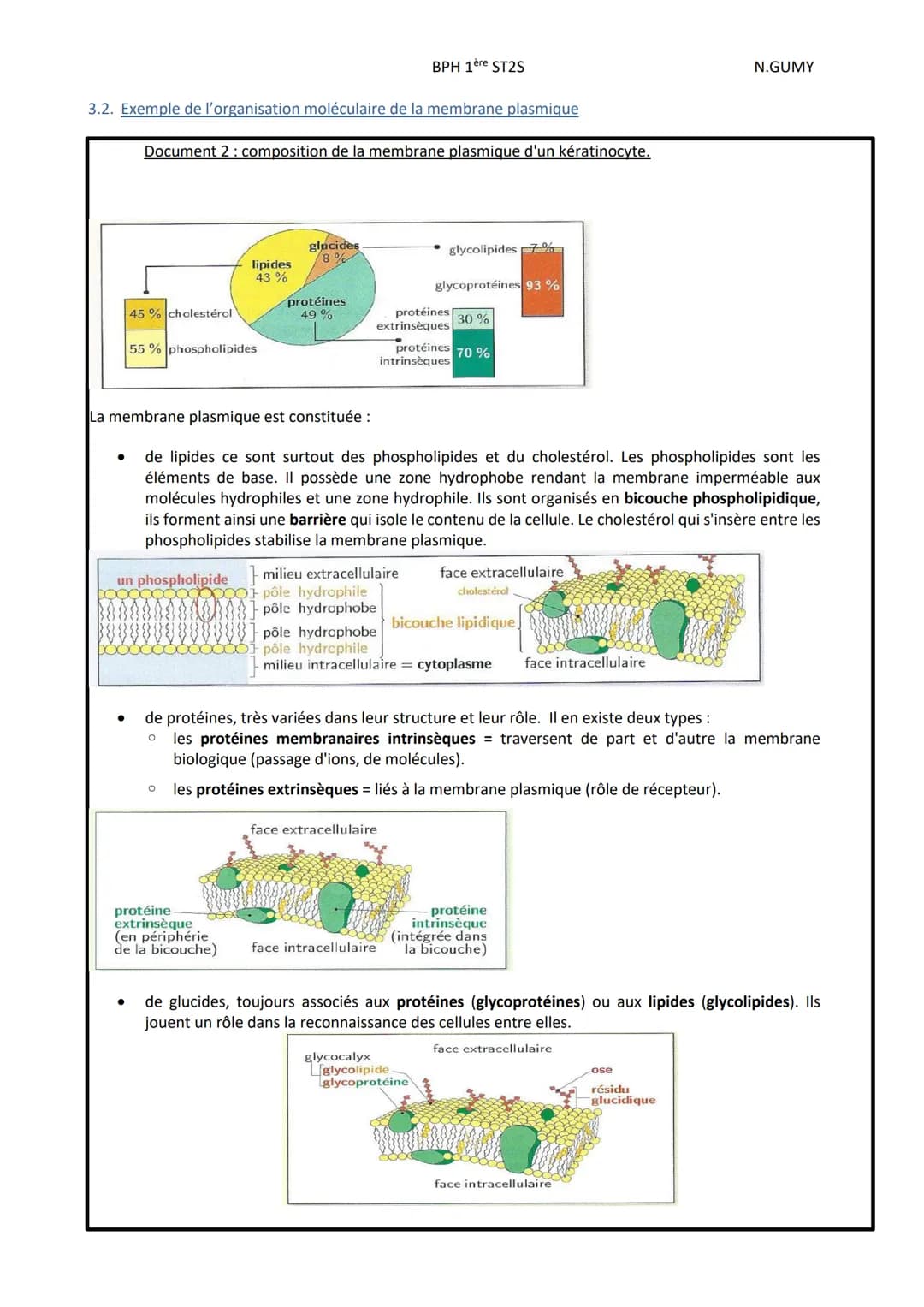 BPH 1ère ST2S
N.GUMY
Pôle 1: <<< organisation et fonctionnement intégré de l'être humain >>>
Chp 2: DE L'ORGANE AUX MOLECULES
Intro: L'êtr