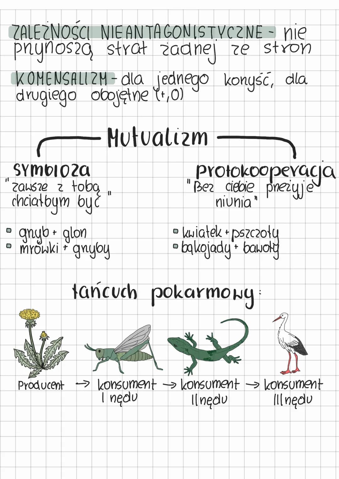 ekologia
Dział III
NISZA EKOLOGICZNA - określone wymagania
życiowe organizmu.
Składa się z :
* Warunki środowiska
* Dostępność zasobó