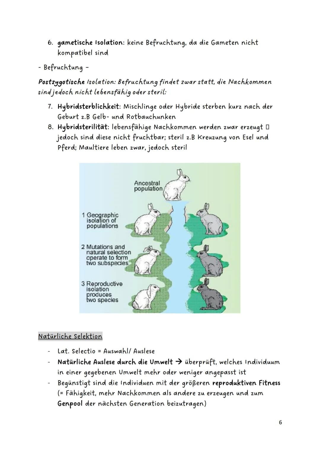 # Evolution
Glossar:
| |
