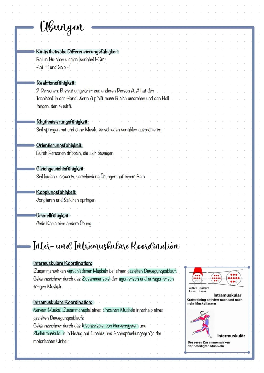 # Themen
KOORDINATION DEFINITION
FÜNF ANALYSATOREN & DAS ZUSAMMENWIRKEN
- Optische Analysator
- Kinästhetische Analysator
- Taktile Analysa