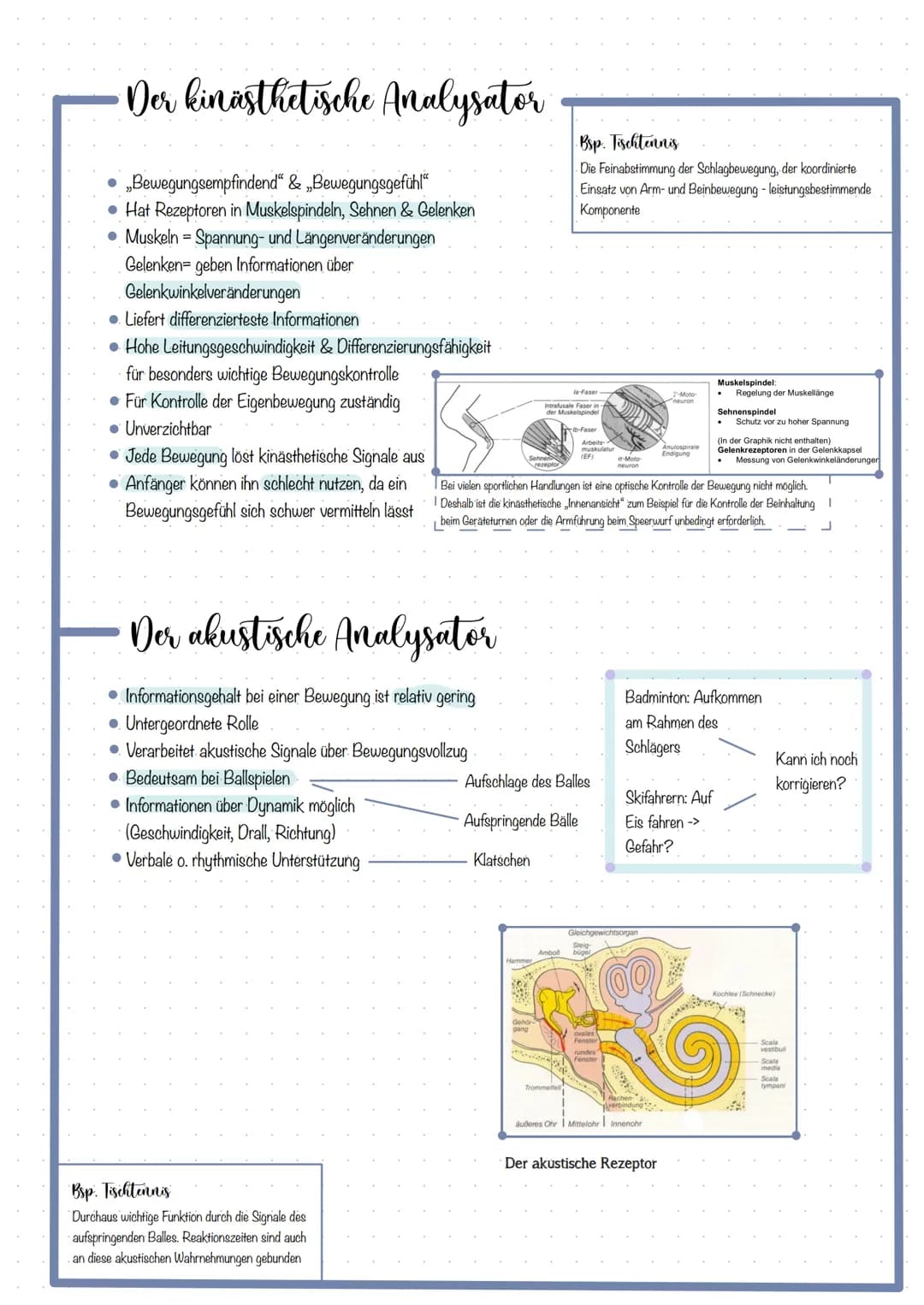 # Themen
KOORDINATION DEFINITION
FÜNF ANALYSATOREN & DAS ZUSAMMENWIRKEN
- Optische Analysator
- Kinästhetische Analysator
- Taktile Analysa