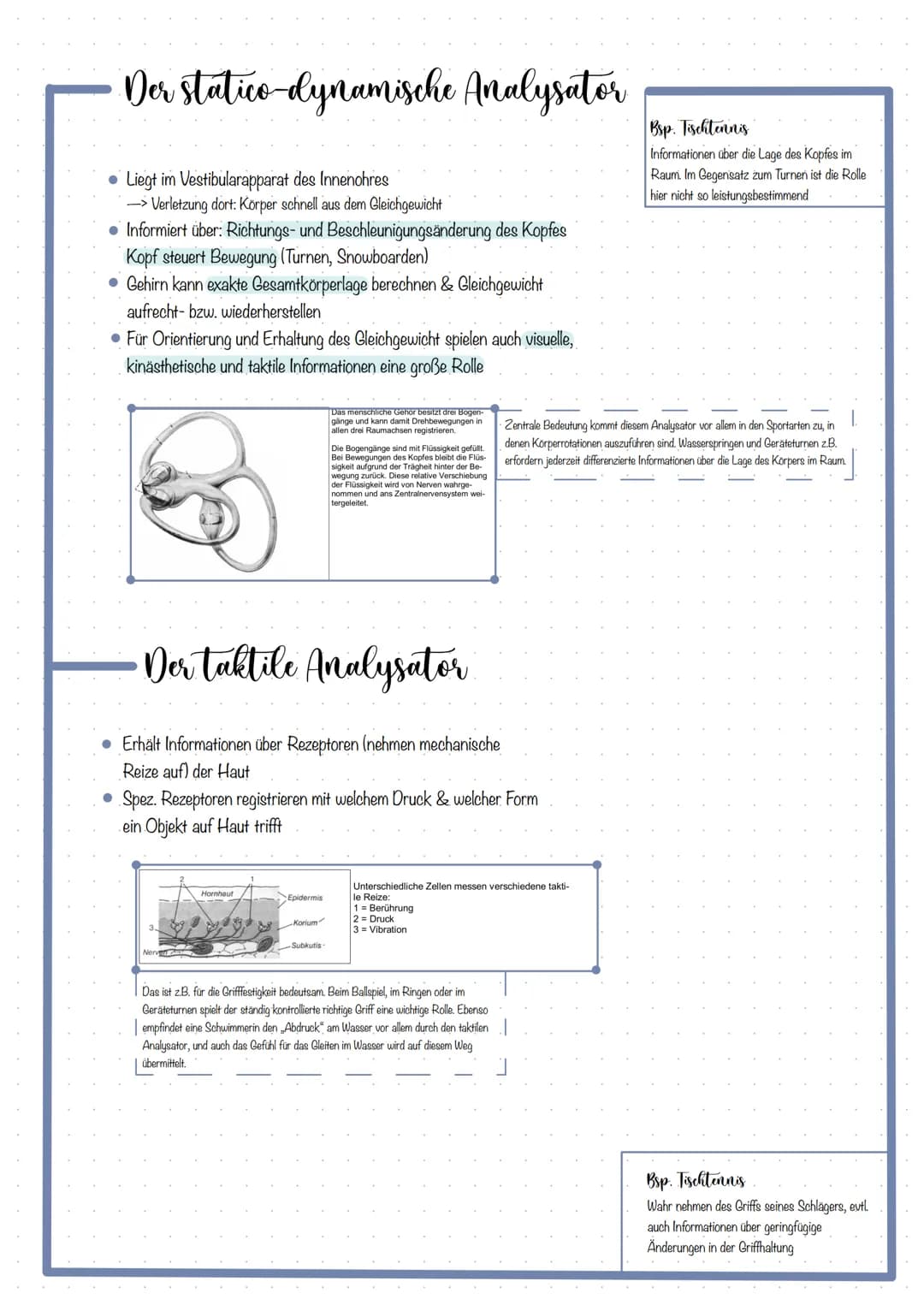 # Themen
KOORDINATION DEFINITION
FÜNF ANALYSATOREN & DAS ZUSAMMENWIRKEN
- Optische Analysator
- Kinästhetische Analysator
- Taktile Analysa