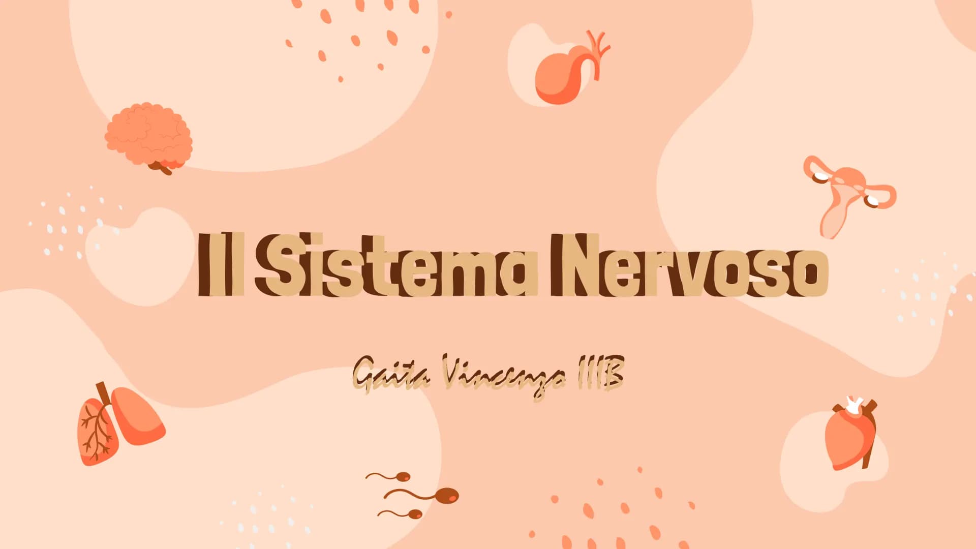 # Il Sistema Nervoso
Gaeta Vincenzo IIIB # Il Sistema Nervoso
Il sistema nervoso dell'uomo
si compone in tre parti:
* Sistema Nervoso Cent