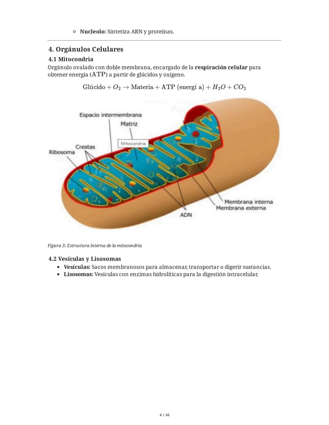 Resumen de Biología: Niveles de Organización, Células, Salud y
Enfermedad
1. Niveles de Organización de los Seres Vivos
1.1 Niveles Abiótico