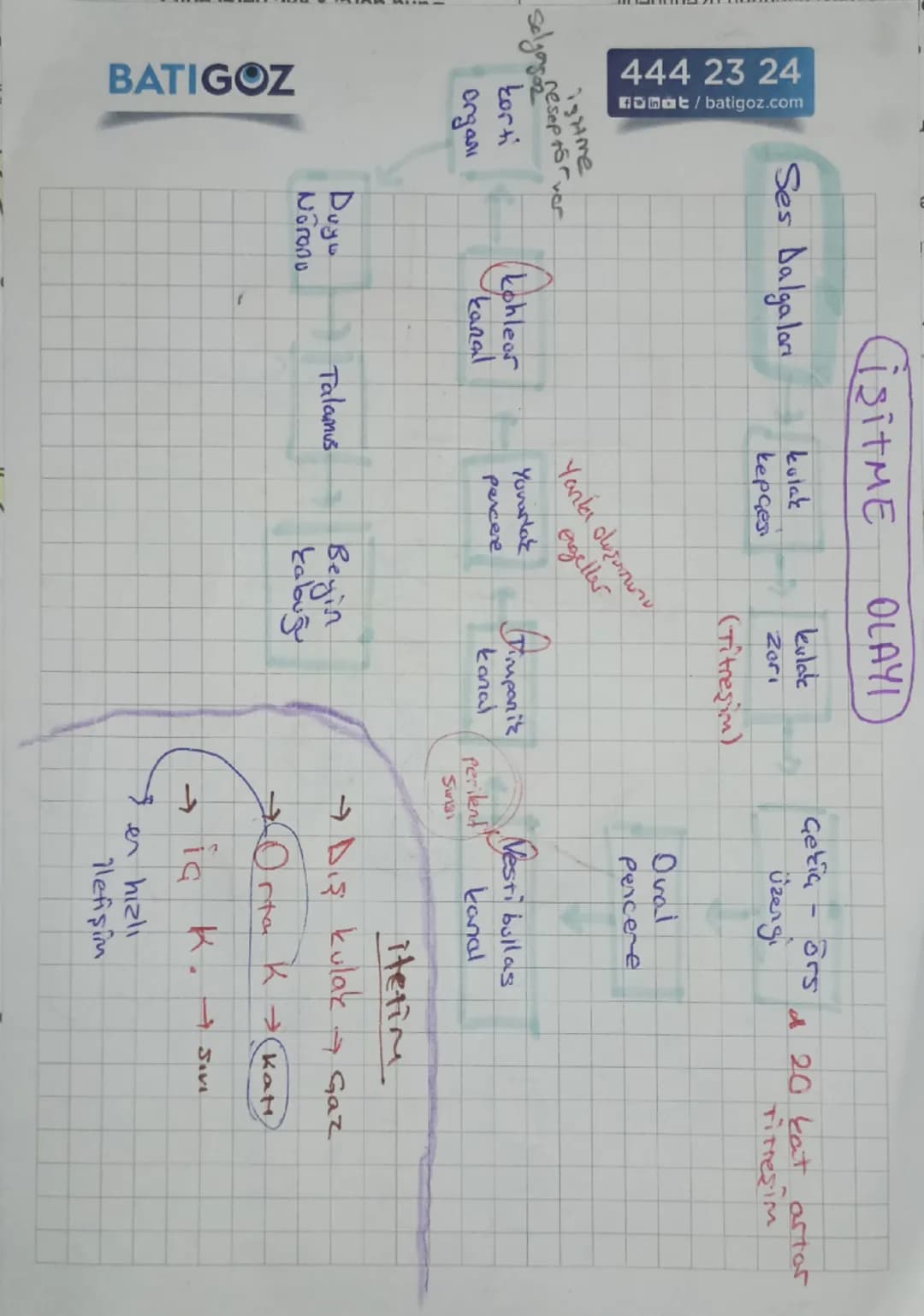 Kulak
Kepçesi
Orta Kulak
as
Gekia
Kulak yolu
Dış Kulak
kulak
2051
→üzergi
Ostaki
borusu
دا
Tulumcuk
Kesecik
Viçinde
tos
denge Of Ol
Yarı