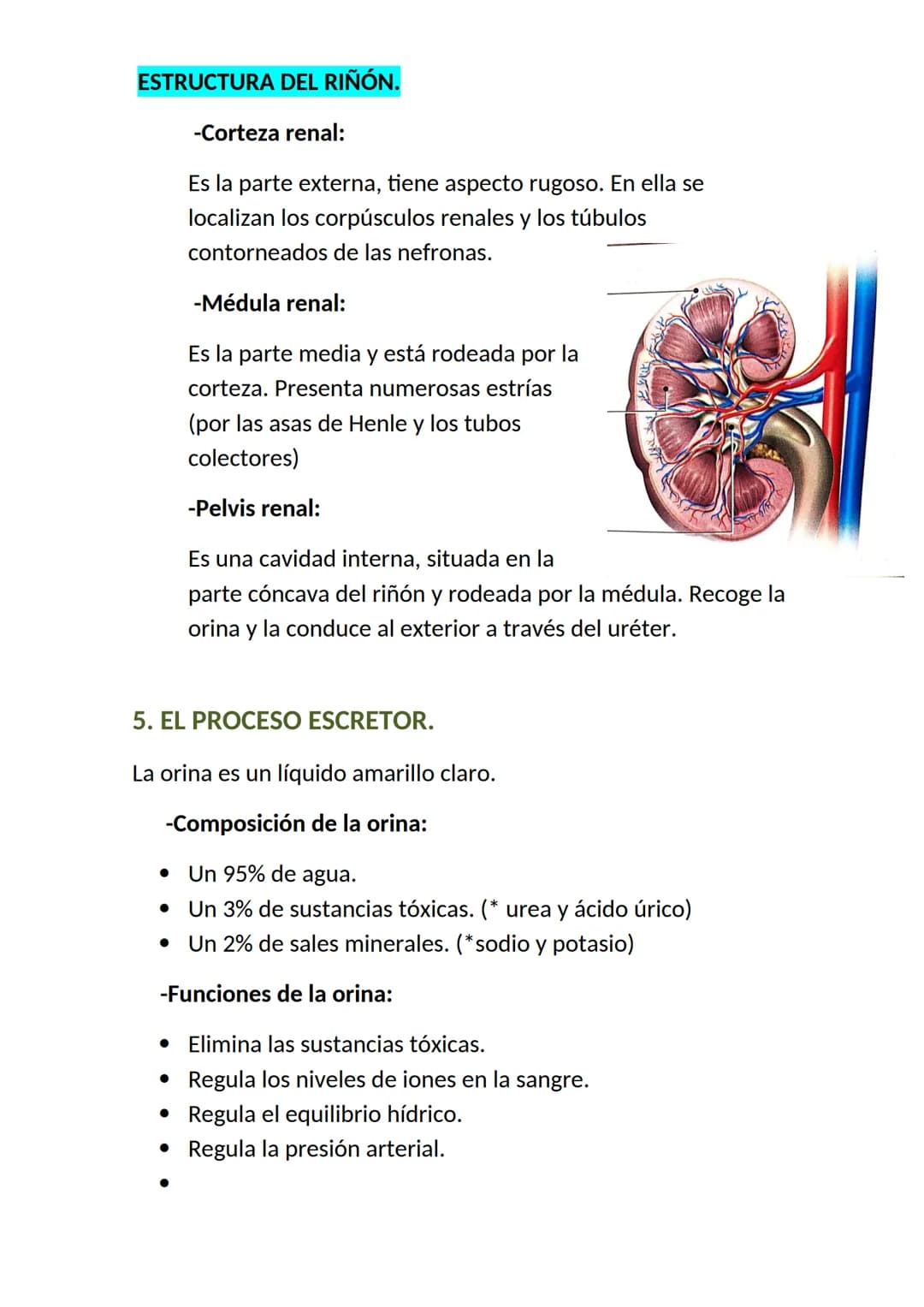 <h2>El aparato respiratorio y sus partes</h2>
<p>El aparato respiratorio es un conjunto de órganos que permite la entrada de oxígeno y la el
