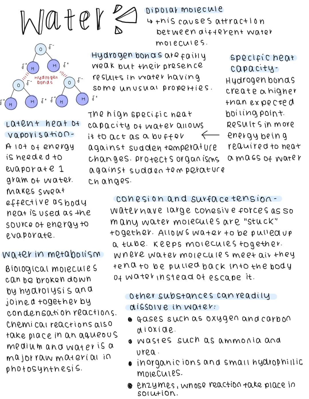 # Water
δ
Η δ
H
0
Hydrogen
5 bonds
0
H
H
H
Latent heat of
vaporisation-
A lot of energy
is needed to
evaporate 1
gram of water.
m