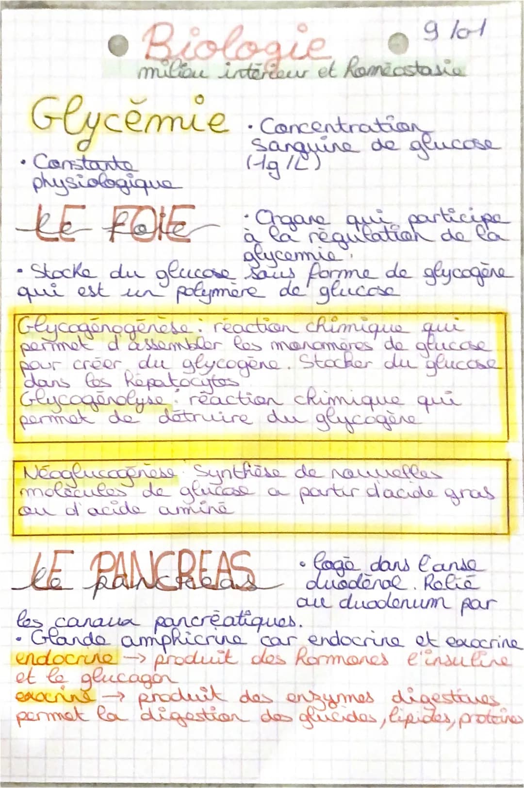 - • Biologie
9101
miliou interieur et Romeastasia
Glycemie
- •Concentration
Sanguire de glucose
- Constante
physiologique
LE FOIE
- Ongare