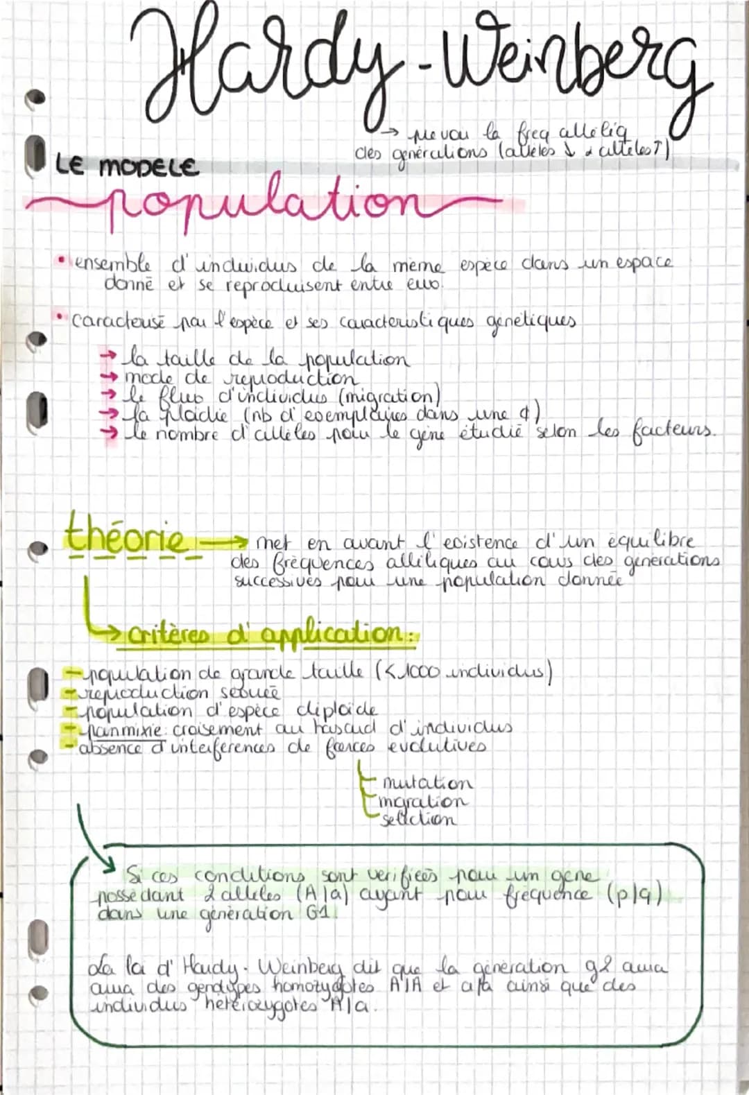 # Hardy-Weinberg
0
LE MODELE
me vou le freq allelig,
cles generculions (atletes & a culteles?)
population
* ensemble d'induidus de la