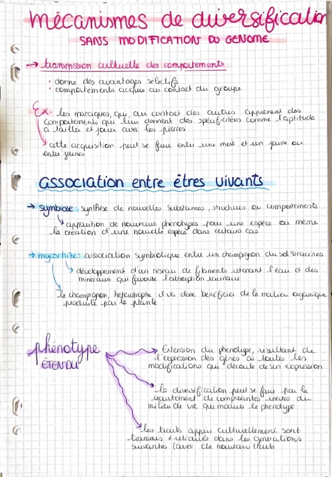 # Hardy-Weinberg
0
LE MODELE
me vou le freq allelig,
cles generculions (atletes & a culteles?)
population
* ensemble d'induidus de la