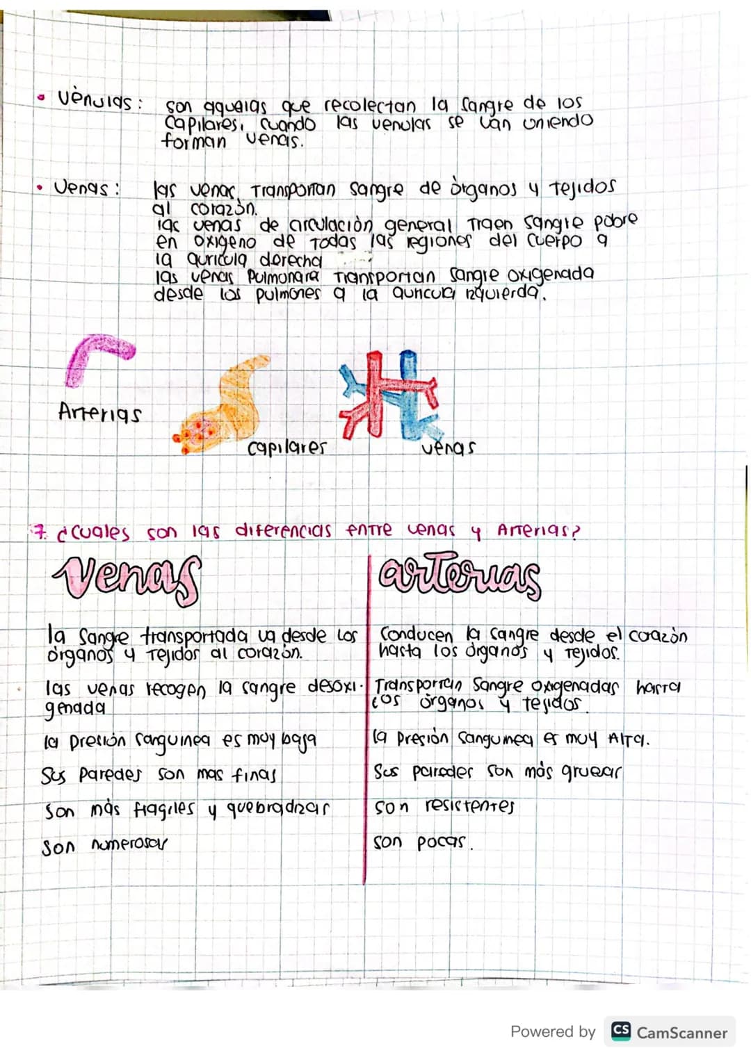 # Tailer Preconceptos
1. Ccuales son las capas musculares que tiene el corazón
El corazón està formado por 3 capas:
* Pericardio:
Es como