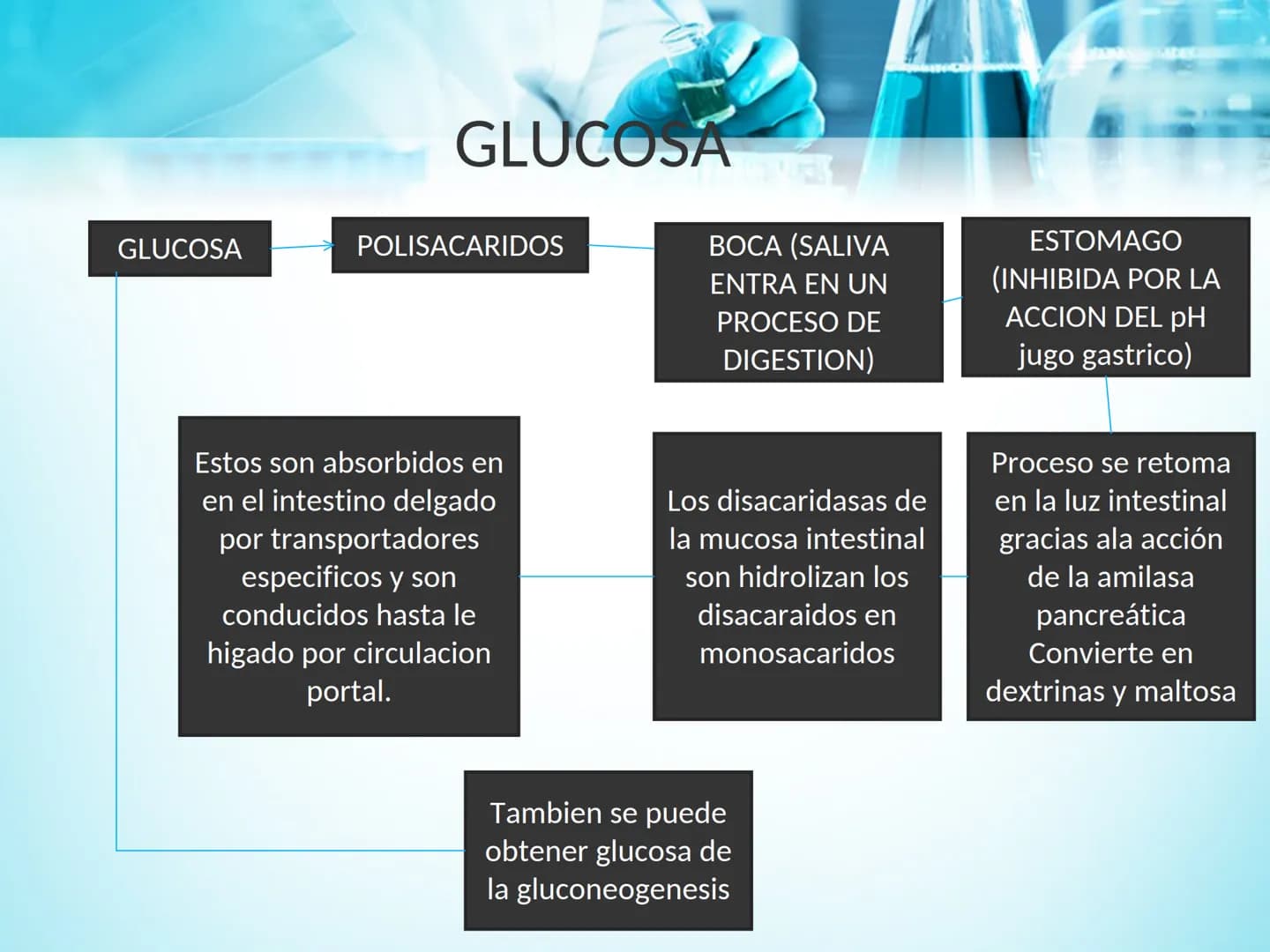 METABOLISMO DE LA
GLUCOSA
ROY FERNANDO ZAMBRANA POMA
BIOQUIMICO (MENCION EN BIOQUIMICA
CLINICA)
CATEDRA DE BIOQUIMICA
LA PAZ, BOLIVIA # GL
