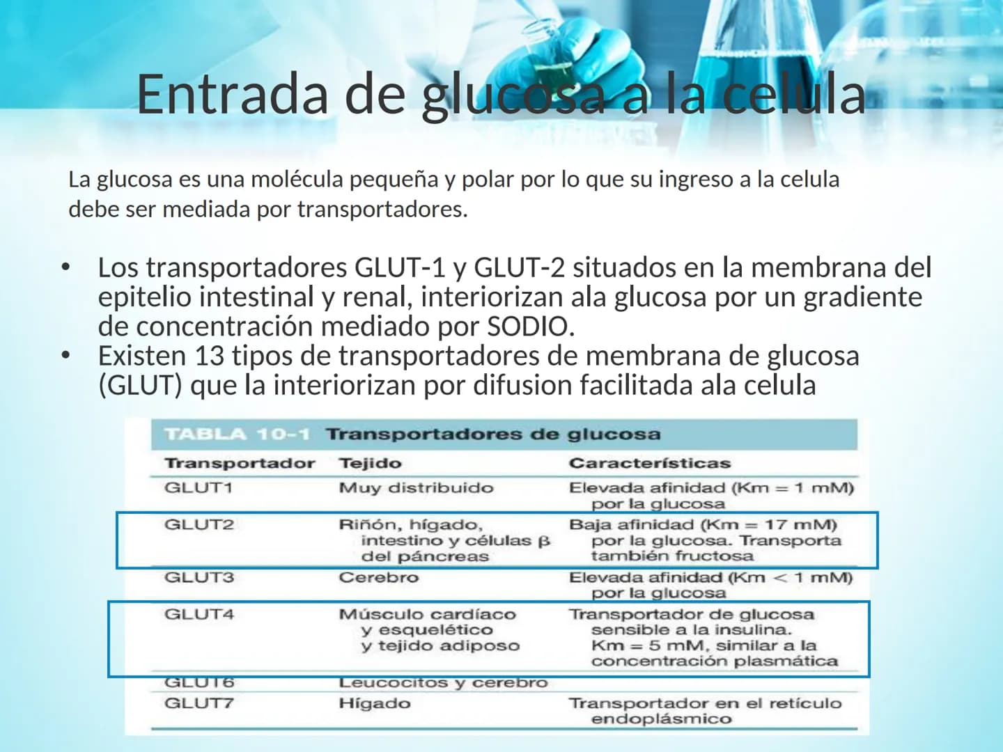 METABOLISMO DE LA
GLUCOSA
ROY FERNANDO ZAMBRANA POMA
BIOQUIMICO (MENCION EN BIOQUIMICA
CLINICA)
CATEDRA DE BIOQUIMICA
LA PAZ, BOLIVIA # GL