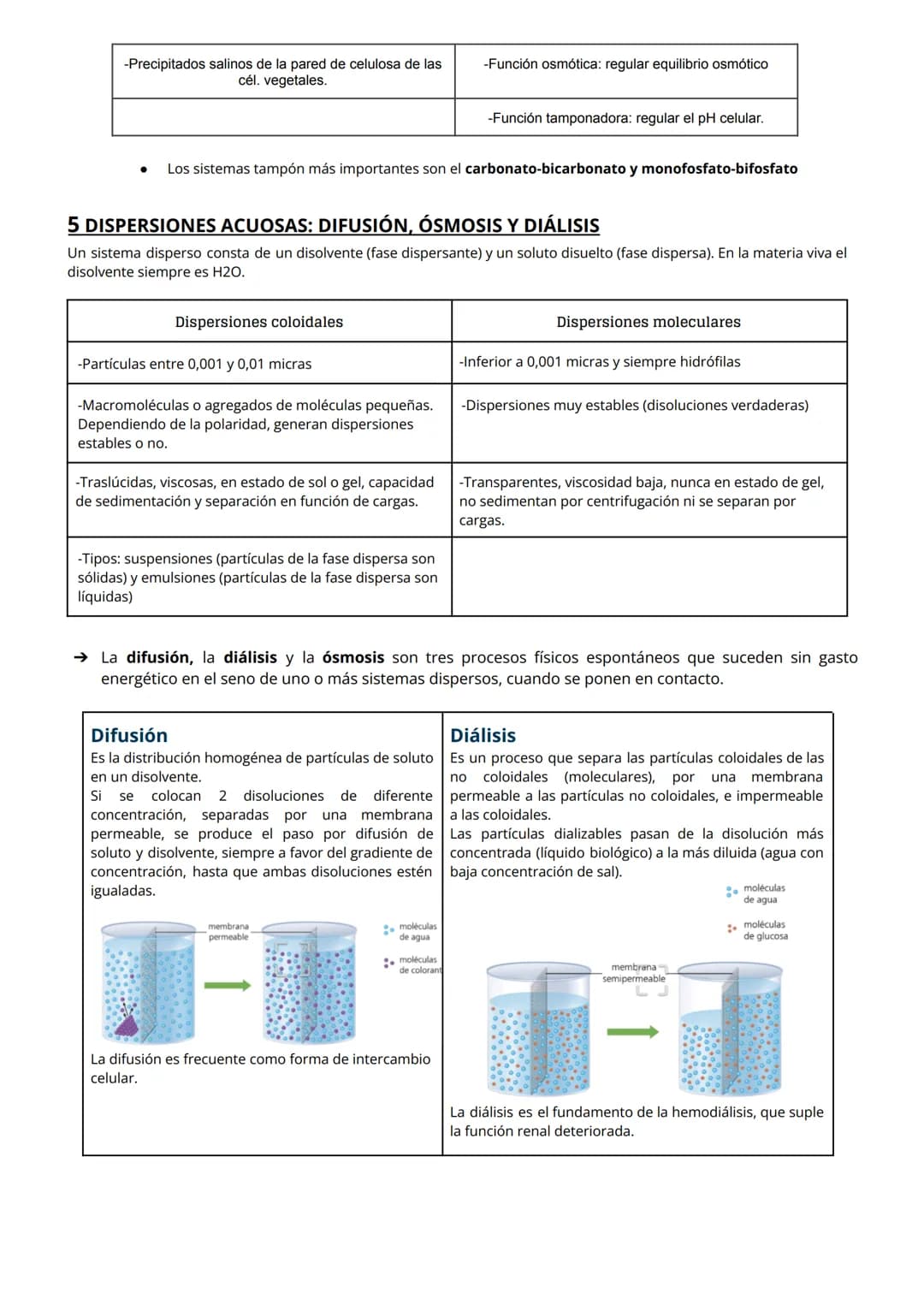 <h2>Los Enlaces Químicos en Biología</h2>
<h3>Enlaces Intramoleculares</h3>
<p>Los átomos se unen para lograr su configuración electrónica