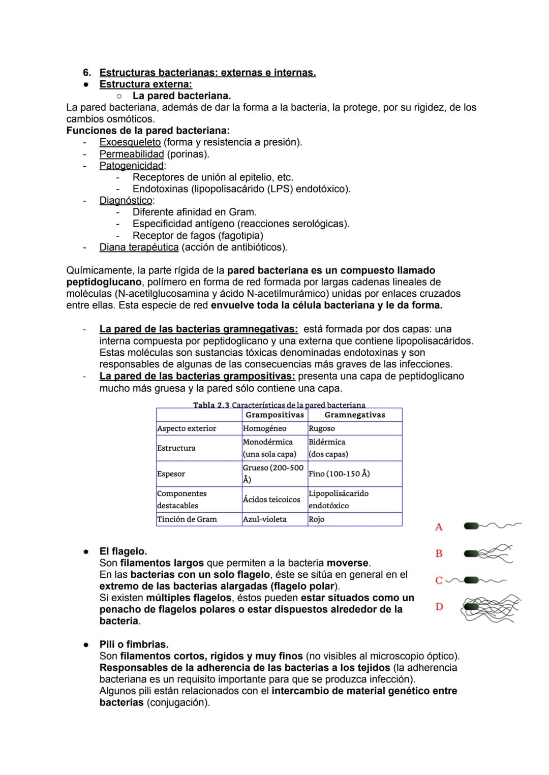 # MICROBIOLOGÍA
## TEMA 11.1: INTRODUCCIÓN A LA MICROBIOLOGÍA
1. Introducción a la microbiología.
Microbiología: Ciencia que se encarga d