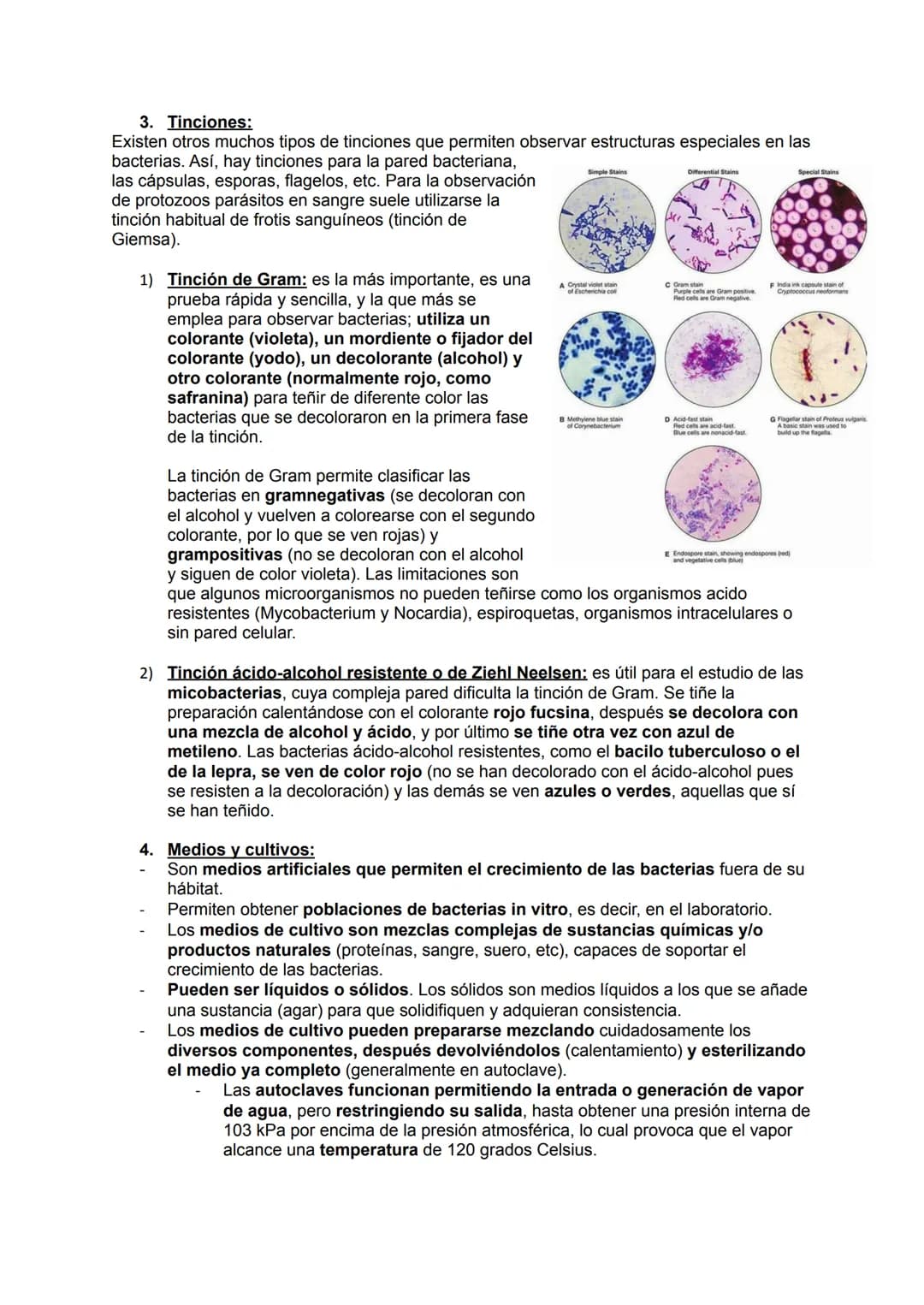 # MICROBIOLOGÍA
## TEMA 11.1: INTRODUCCIÓN A LA MICROBIOLOGÍA
1. Introducción a la microbiología.
Microbiología: Ciencia que se encarga d