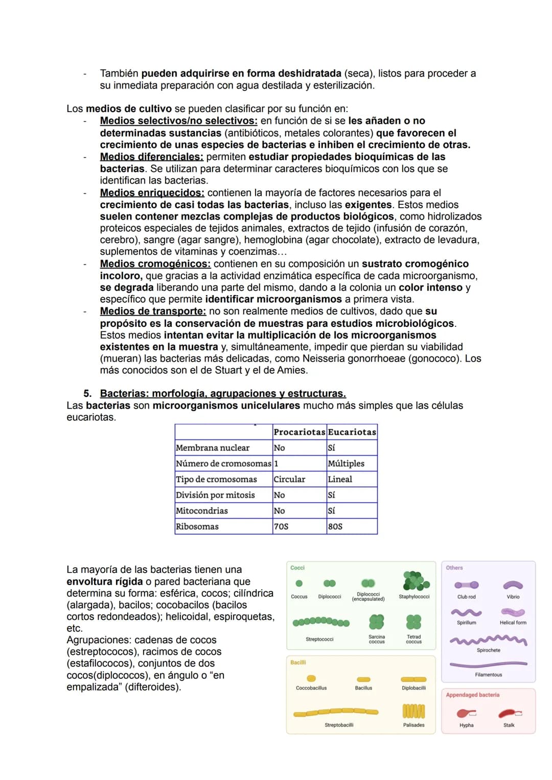 # MICROBIOLOGÍA
## TEMA 11.1: INTRODUCCIÓN A LA MICROBIOLOGÍA
1. Introducción a la microbiología.
Microbiología: Ciencia que se encarga d