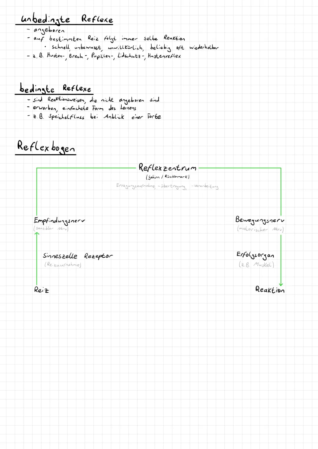 Aufnahme, Weitergabe und Verarbeitung von Informationen
→Kommunikation im Immunsystem
→Hormonsystem
→Informationsaufnahme und -verarbeitu