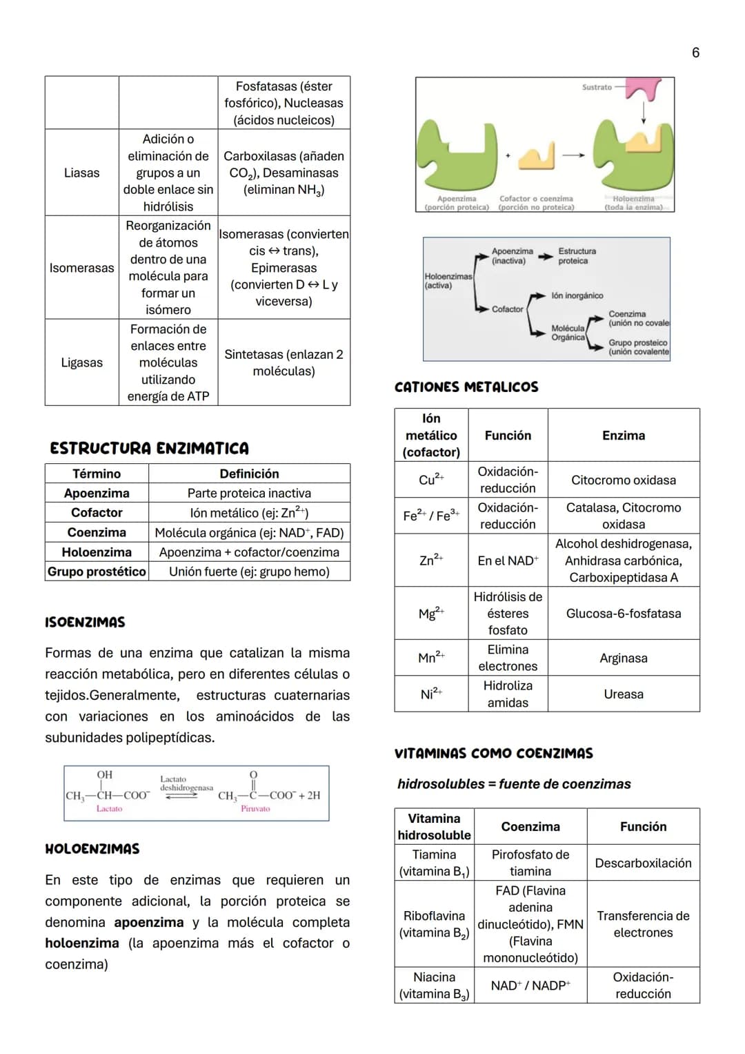 Unidad 5
AMINOACIDOS
AMINOACIDOS POLARES NEUTROS
1
Definición:
Moléculas orgánicas que forman las proteínas.
Tienen unido al Ca al menos:
*