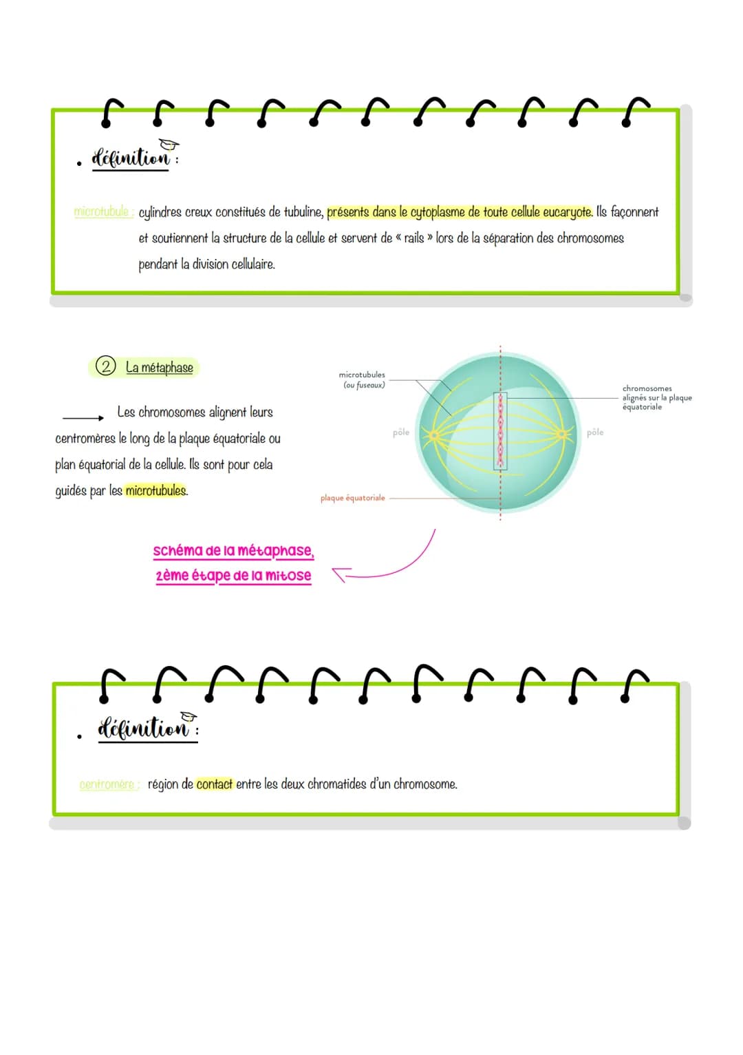# sciences de lu Vie et de lau
terre
# Chapitre 1: Le Cycle
cellulaire des eucaryotes
I-LA MITOSE: UNE REPRODUCTION CONFORME DE LA CELLUL