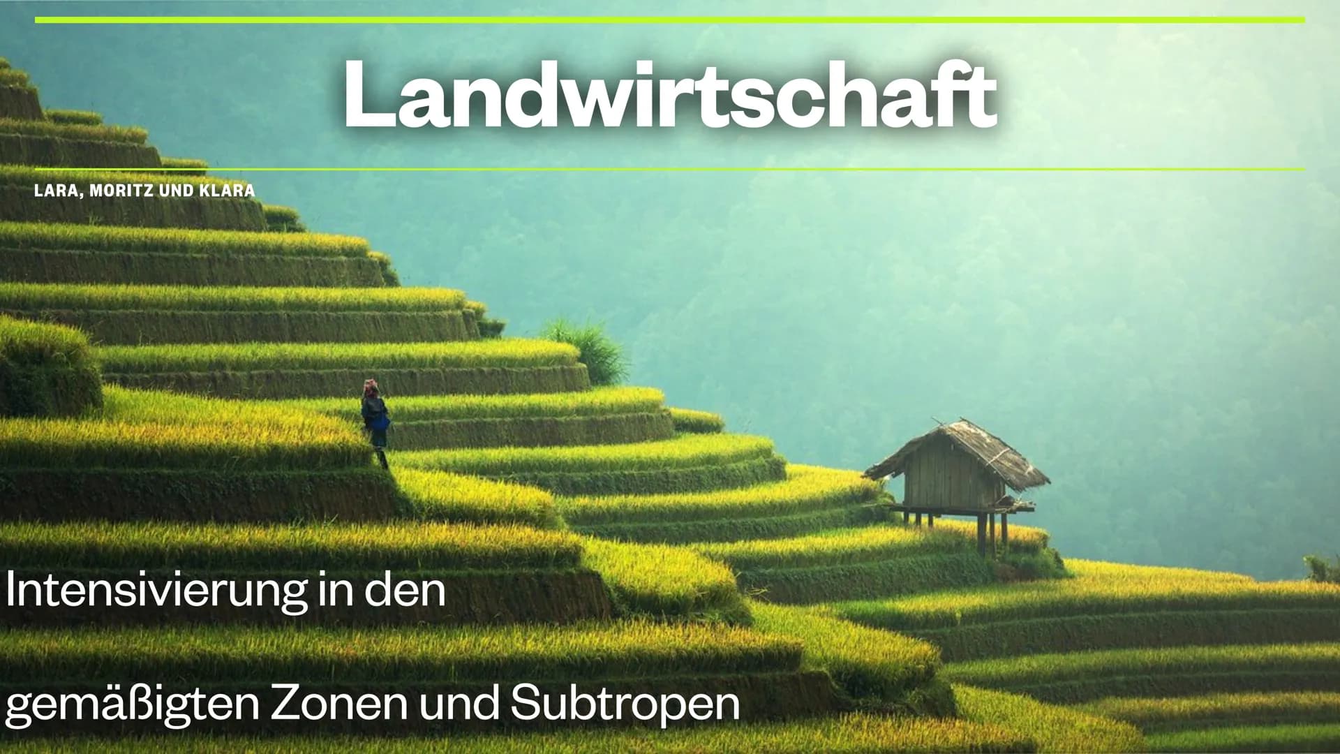 # Landwirtschaft
LARA, MORITZ UND KLARA
Intensivierung in den
gemäßigten Zonen und Subtropen # THEMEN
* Landwirtschaft: gemäßigte Zone