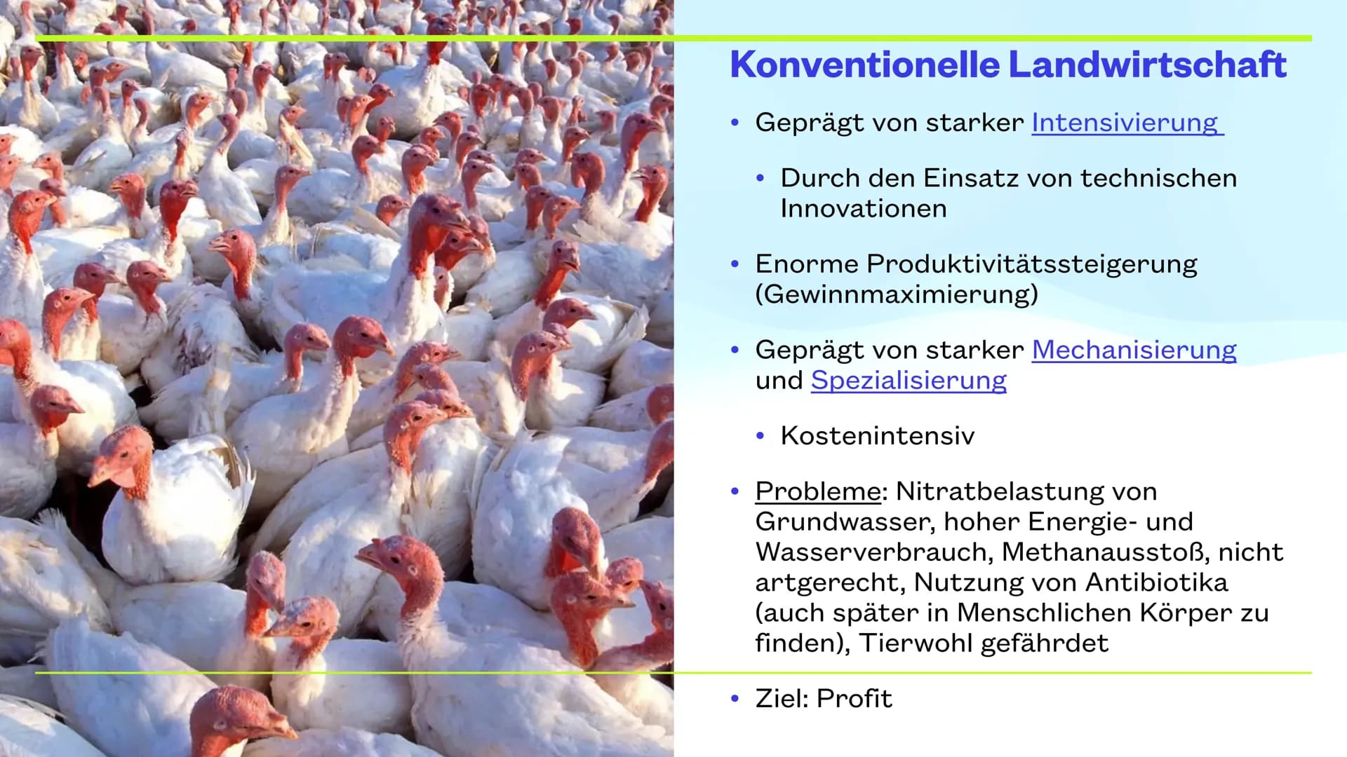 # Landwirtschaft
LARA, MORITZ UND KLARA
Intensivierung in den
gemäßigten Zonen und Subtropen # THEMEN
* Landwirtschaft: gemäßigte Zone