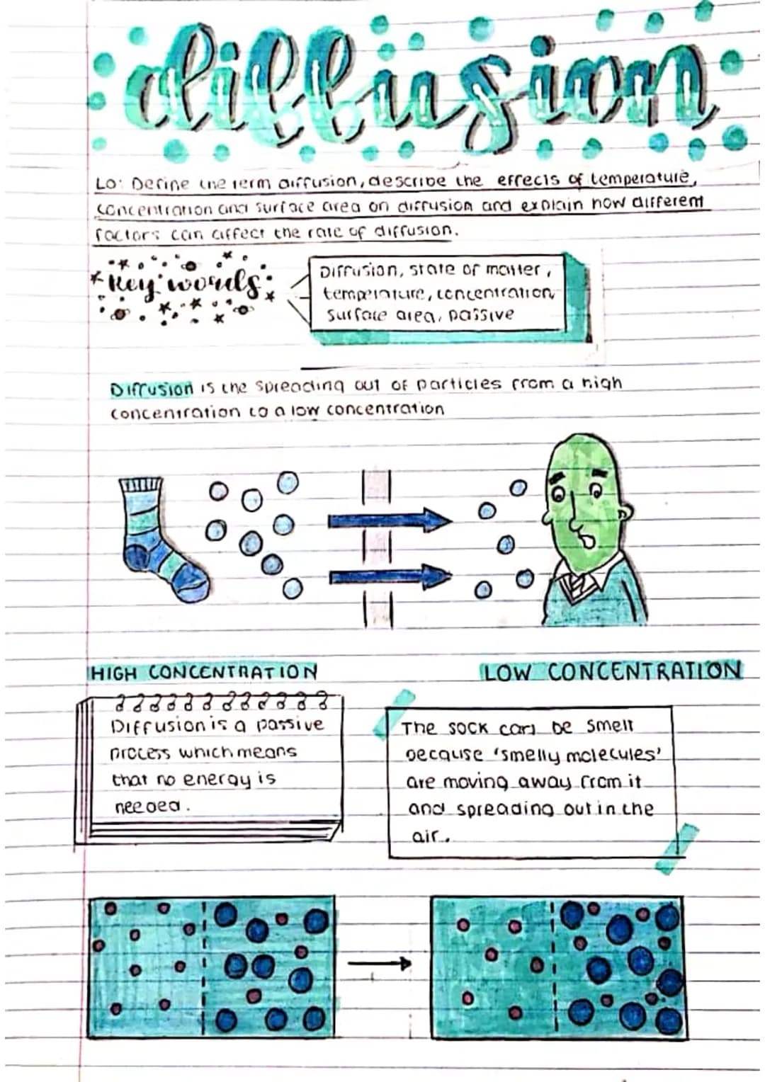 <p>Diffusion is the process of particles spreading out from an area of high concentration to an area of low concentration. It is a passive
